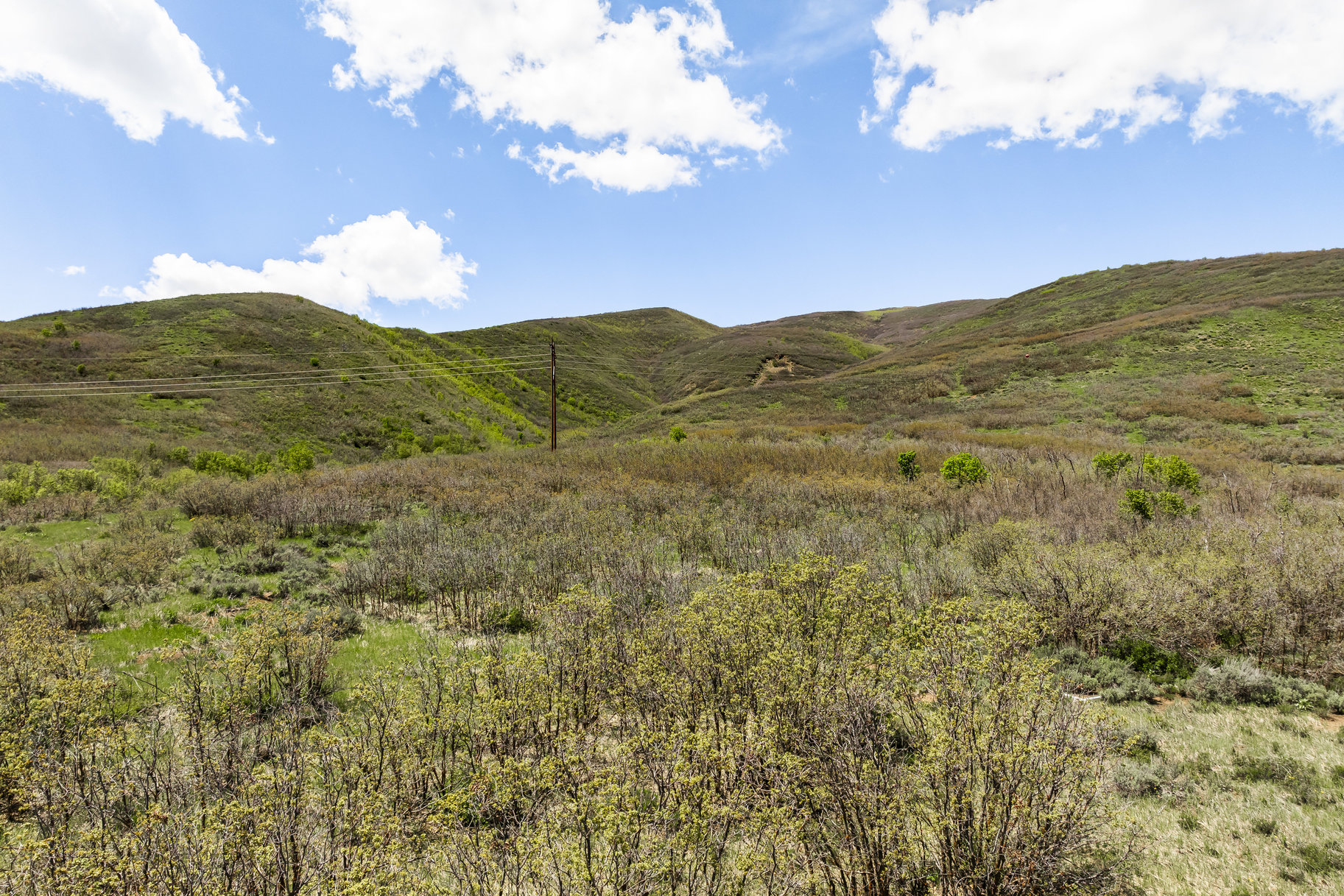  34 Acre Estate Lot In The Highlands - 物件實景