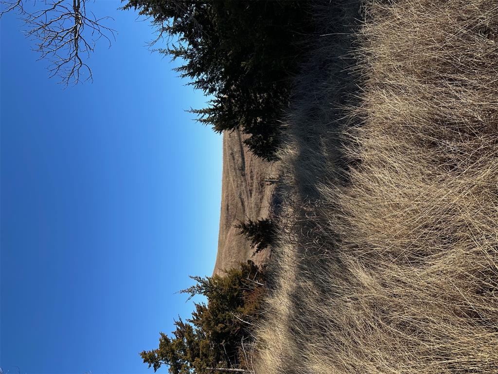 Meridian, Oklahoma, 73058, United States, ,Land,For Sale,2009056