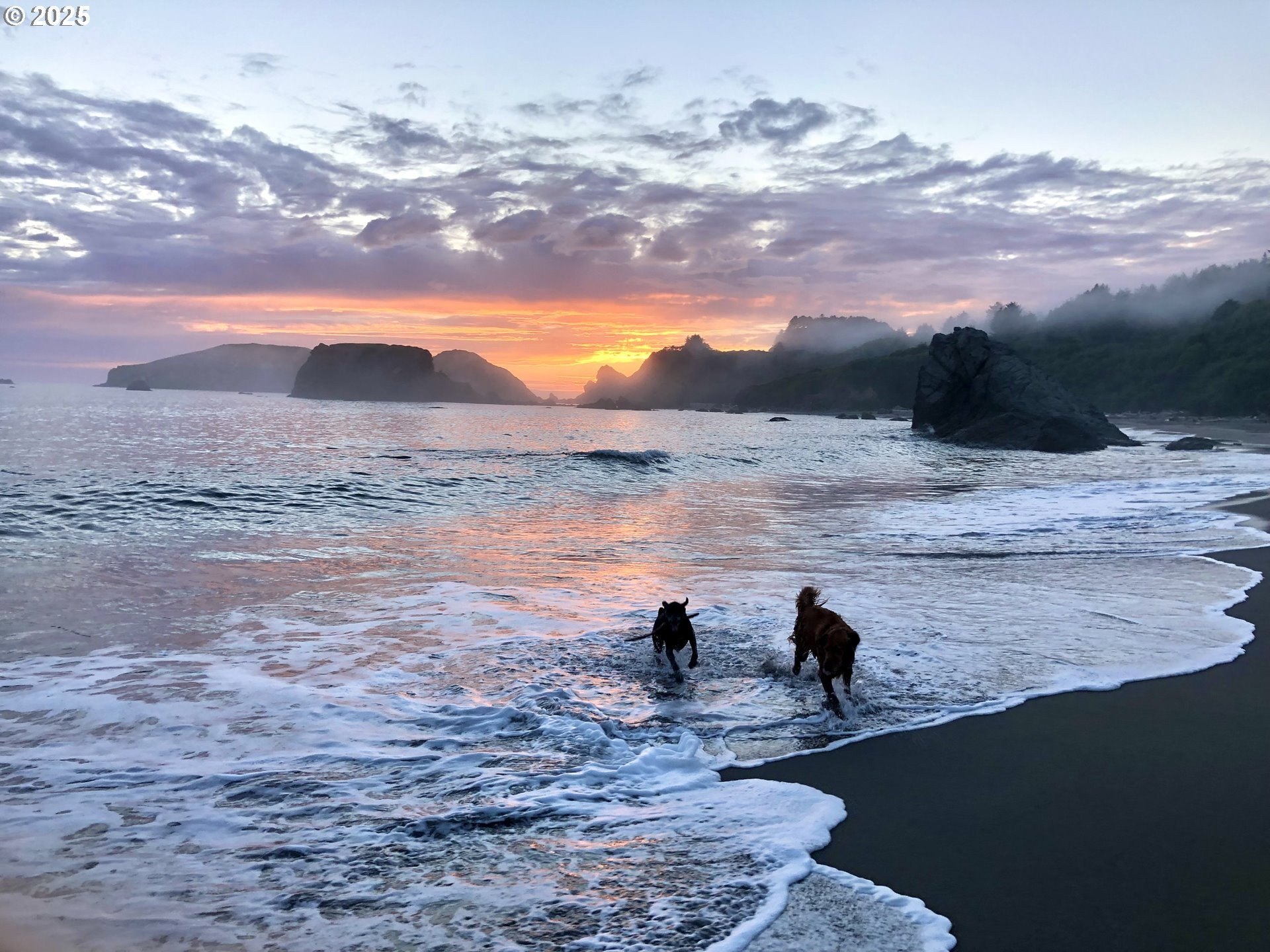 Brookings, Oregon, 97415, United States, 3 Bedrooms Bedrooms, ,2 BathroomsBathrooms,Residential,For Sale,1974260