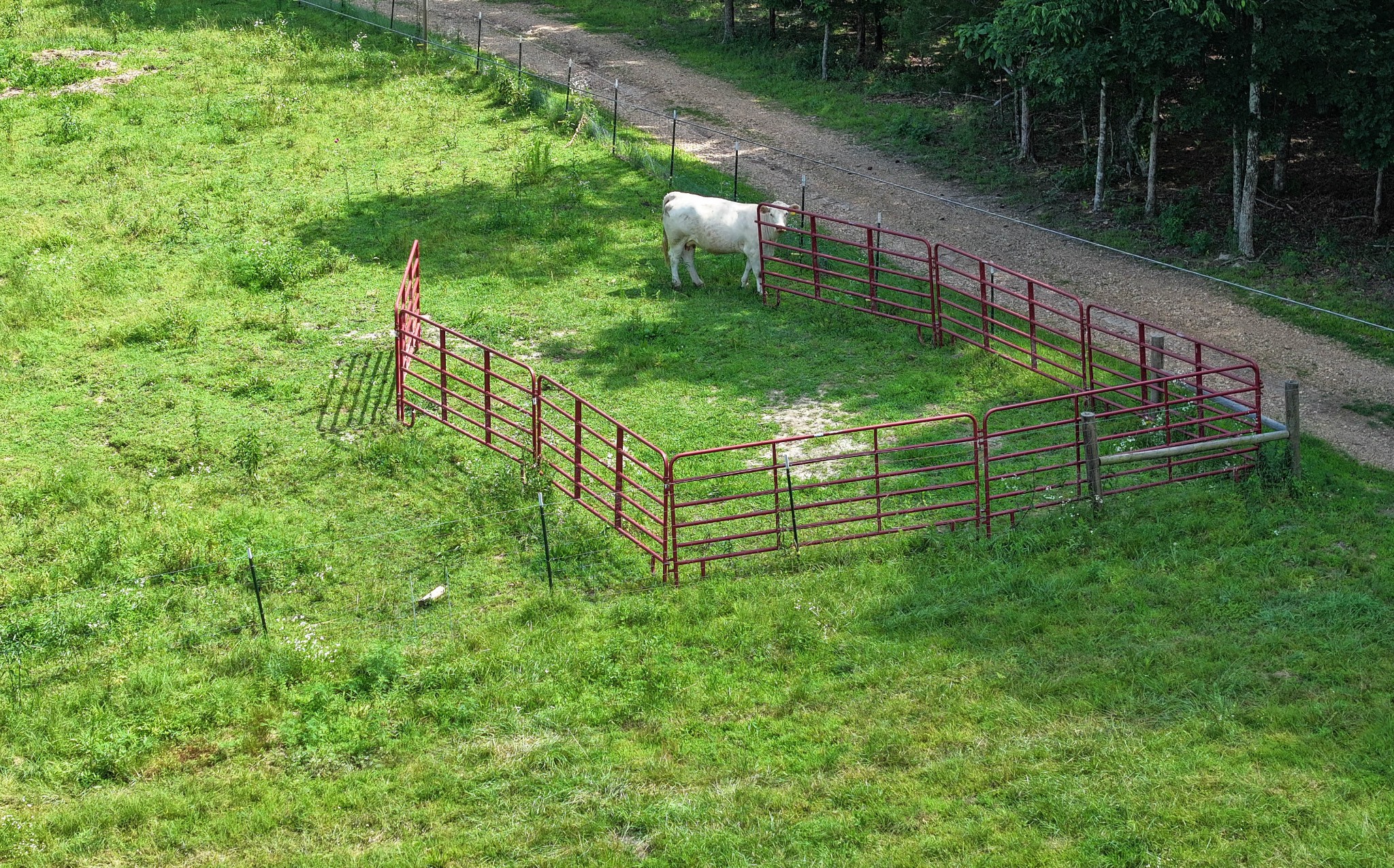 Indian Mound, Tennessee, 37079, United States, 3 Bedrooms Bedrooms, ,2 BathroomsBathrooms,Residential,For Sale,1866881