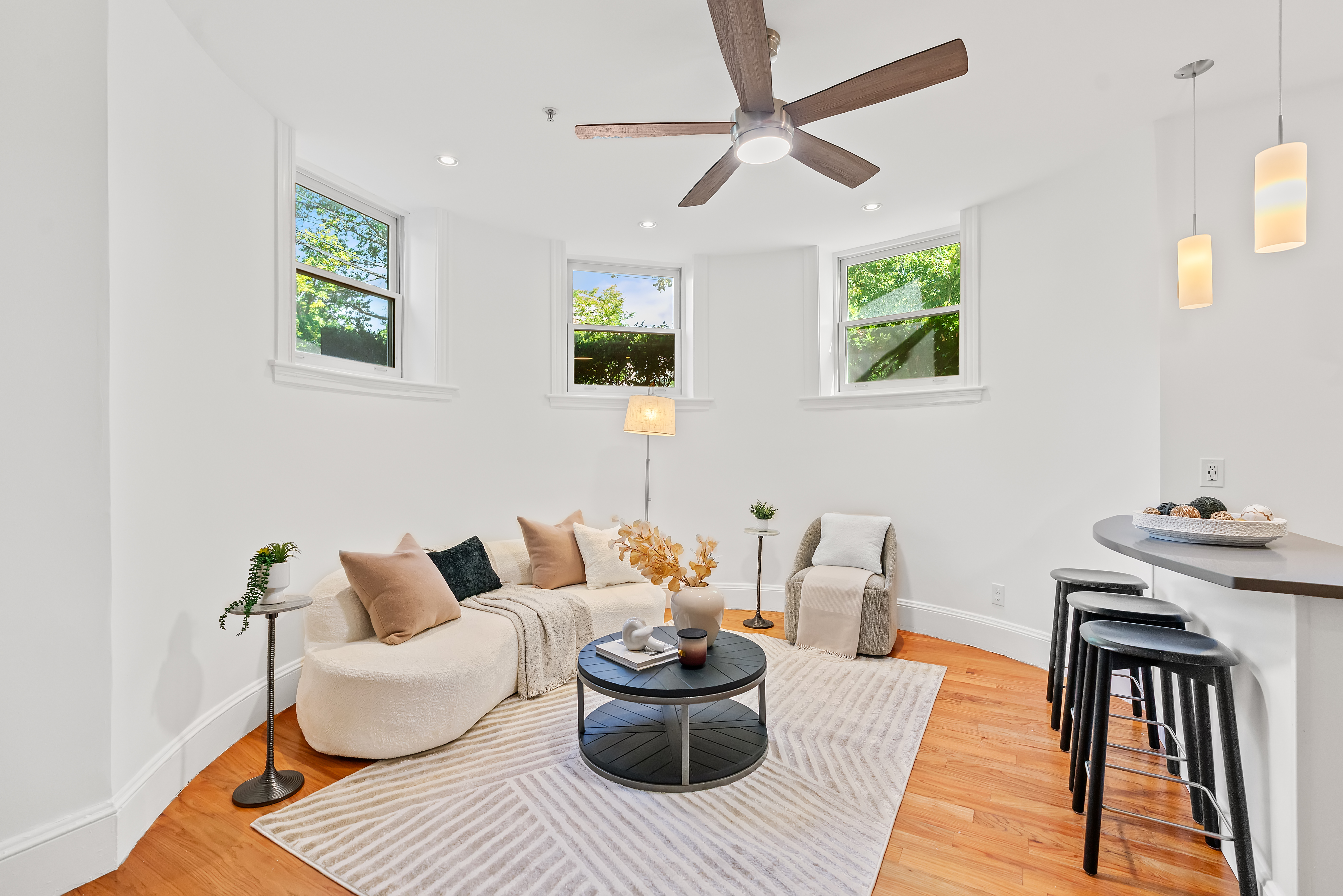  97 Fuller Street  - Unit 4, Brookline, MA, 02446 - 物件實景