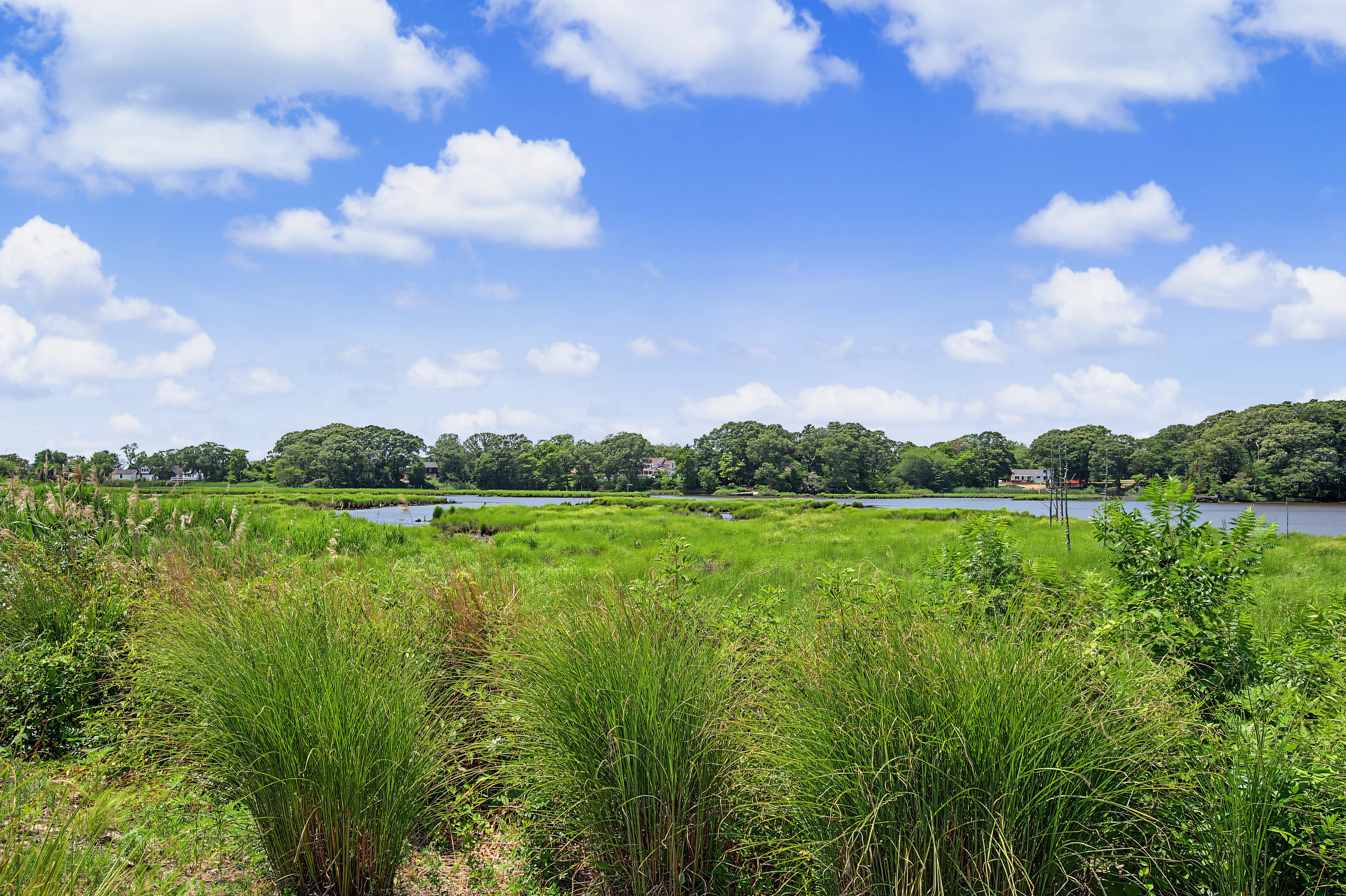  1 Barr Ct, Linwood, NJ, 08221 - 物件實景