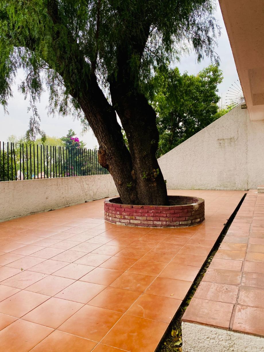 Francisco Javier Mina, Xochimilco, Ciudad de México, 16020, Mexico, 3 Bedrooms Bedrooms, ,4 BathroomsBathrooms,Residential,For Sale,Francisco Javier Mina,1621820