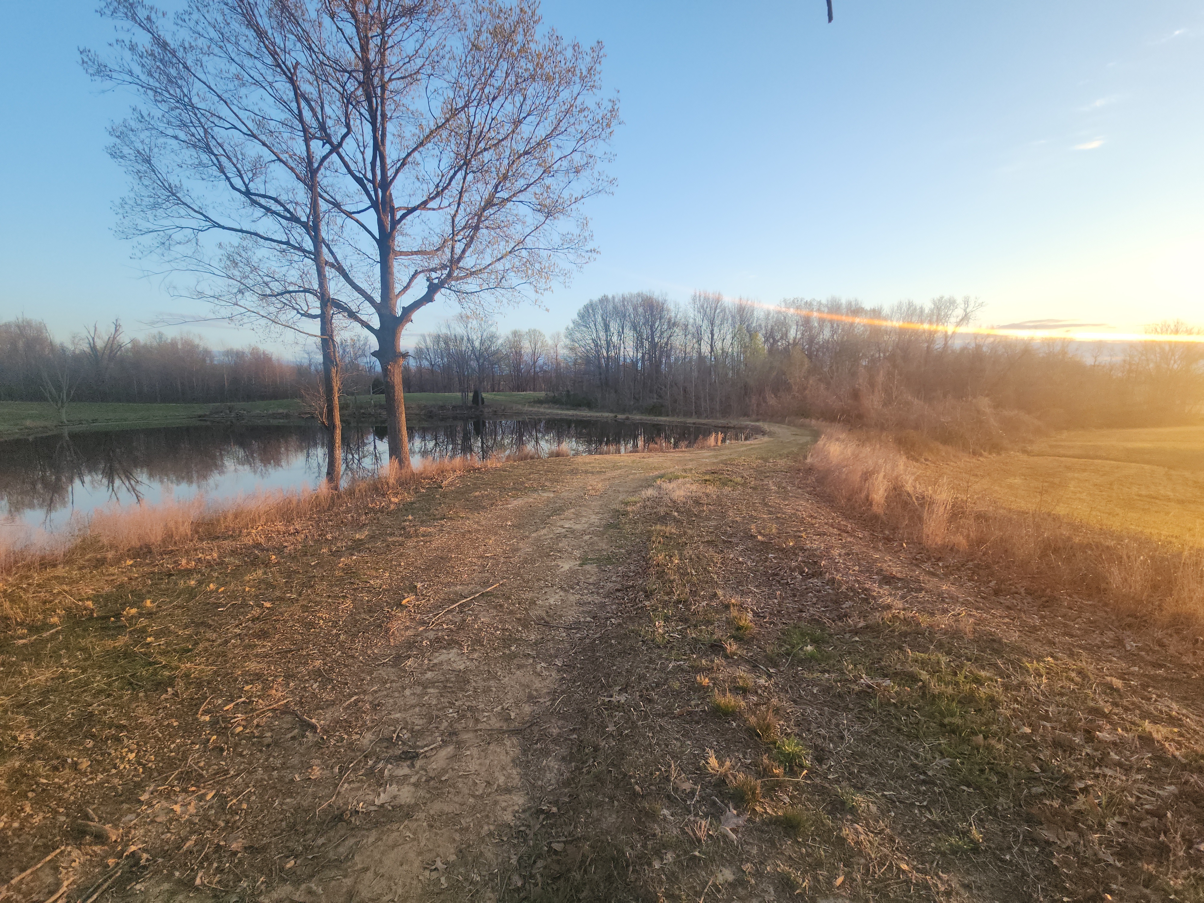 Union City, Tennessee, 38261, United States, ,Land,For Sale,1982811