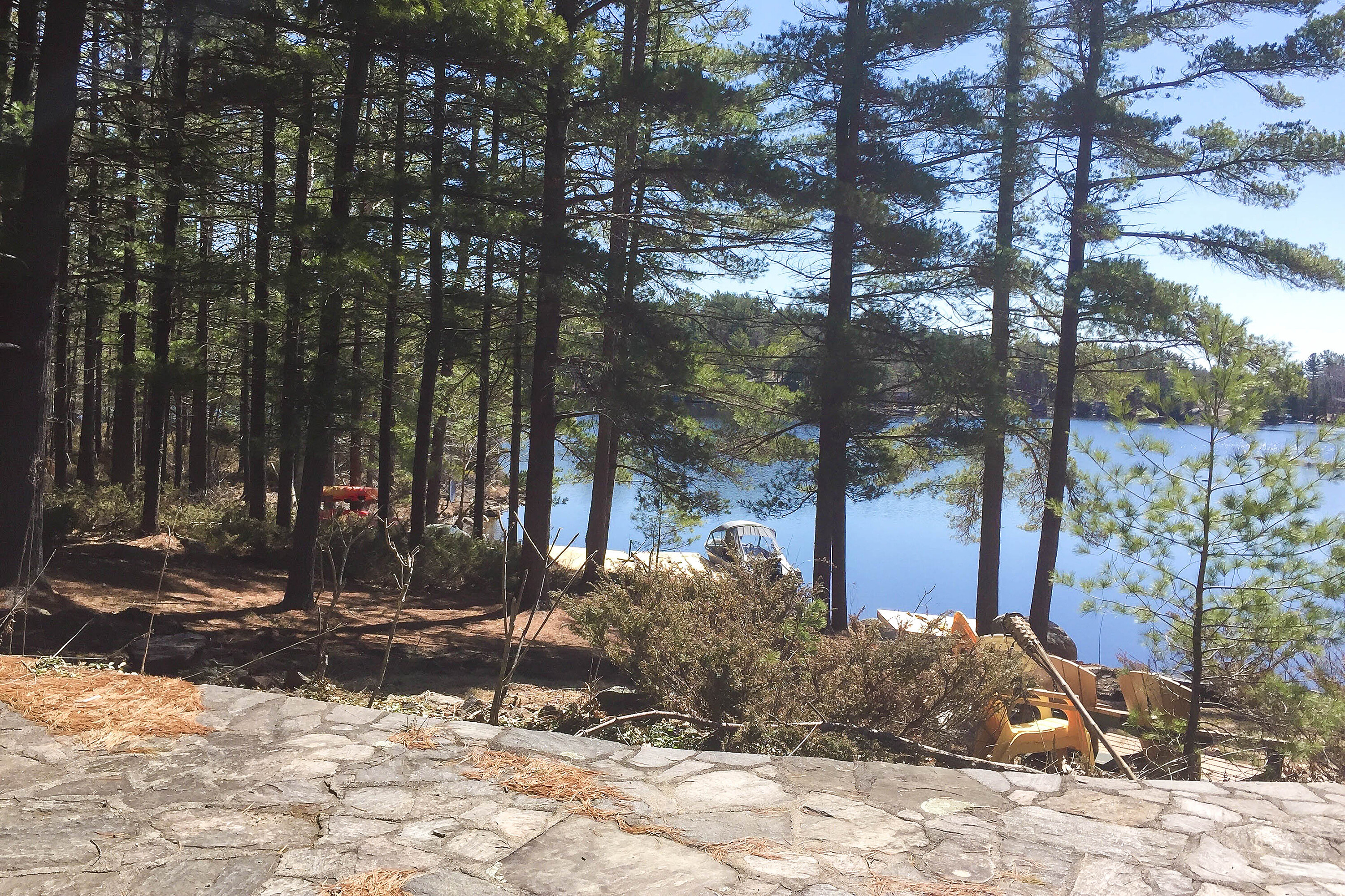  Family Cottage On Go Home Lake - 物件實景