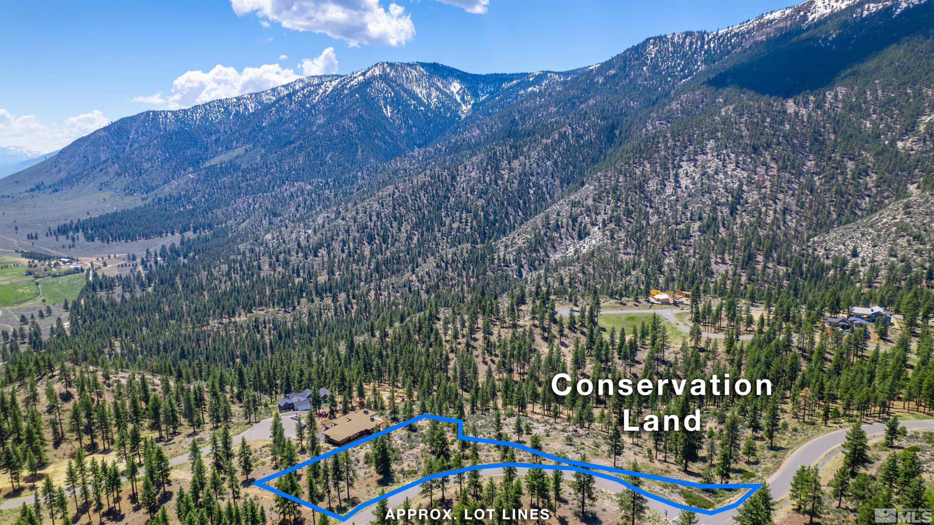 Carson City, Nevada, 89705, United States, ,Land,For Sale,1828130