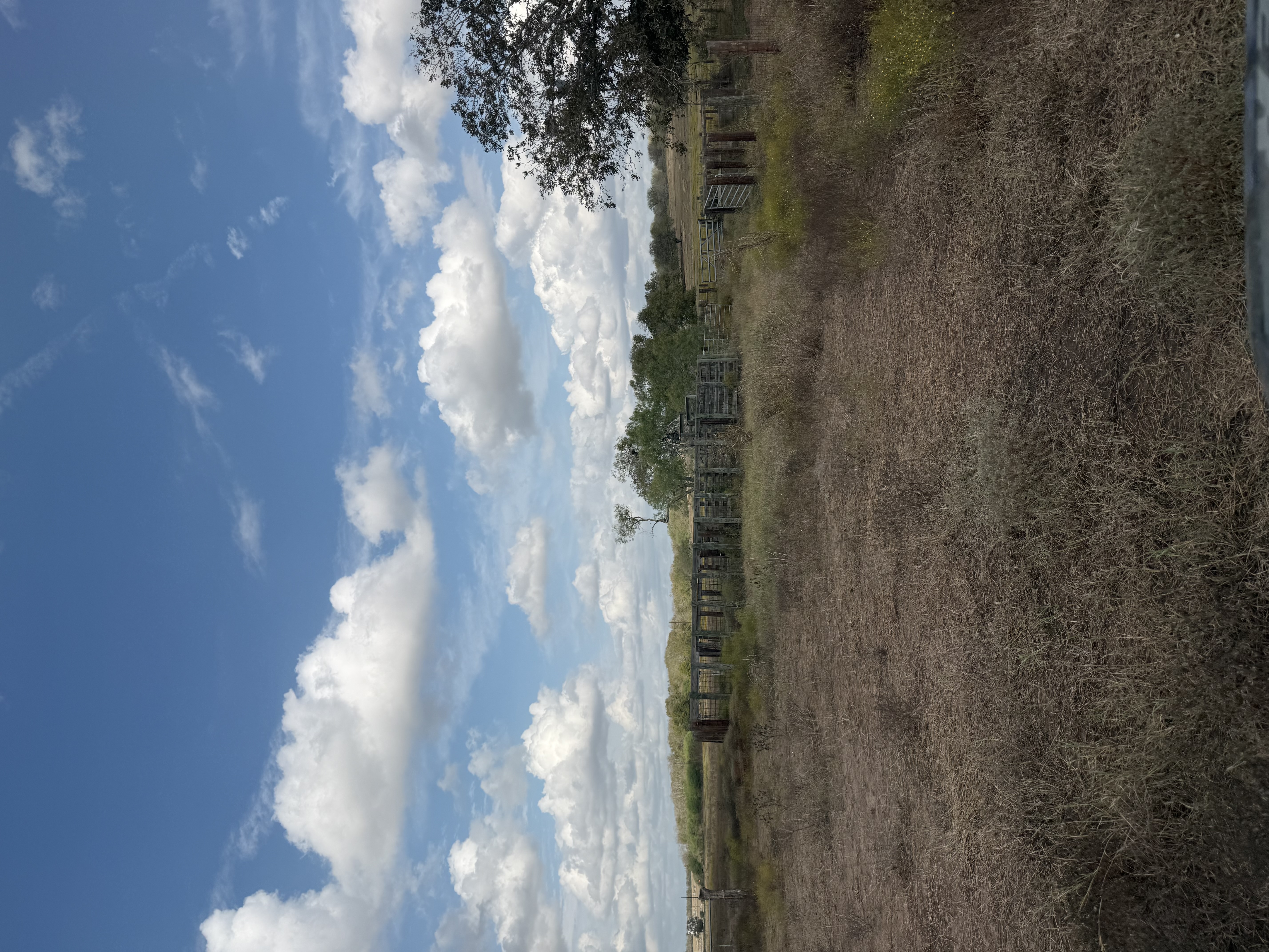 Runge, Texas, 78151, United States, ,Residential,For Sale,1996631