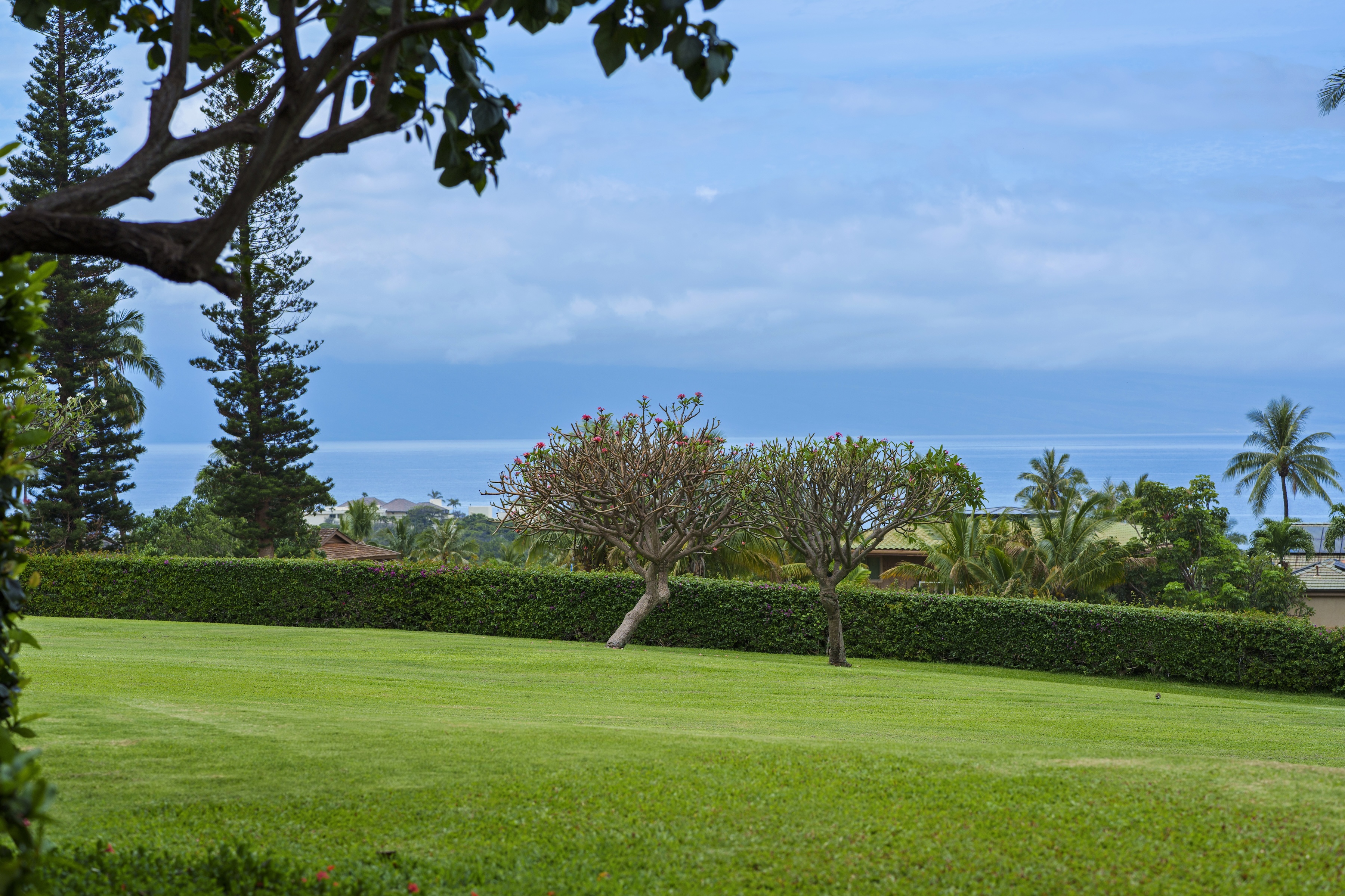  Modern Kaanapali Masters Residence with Views and Privacy - 物件實景