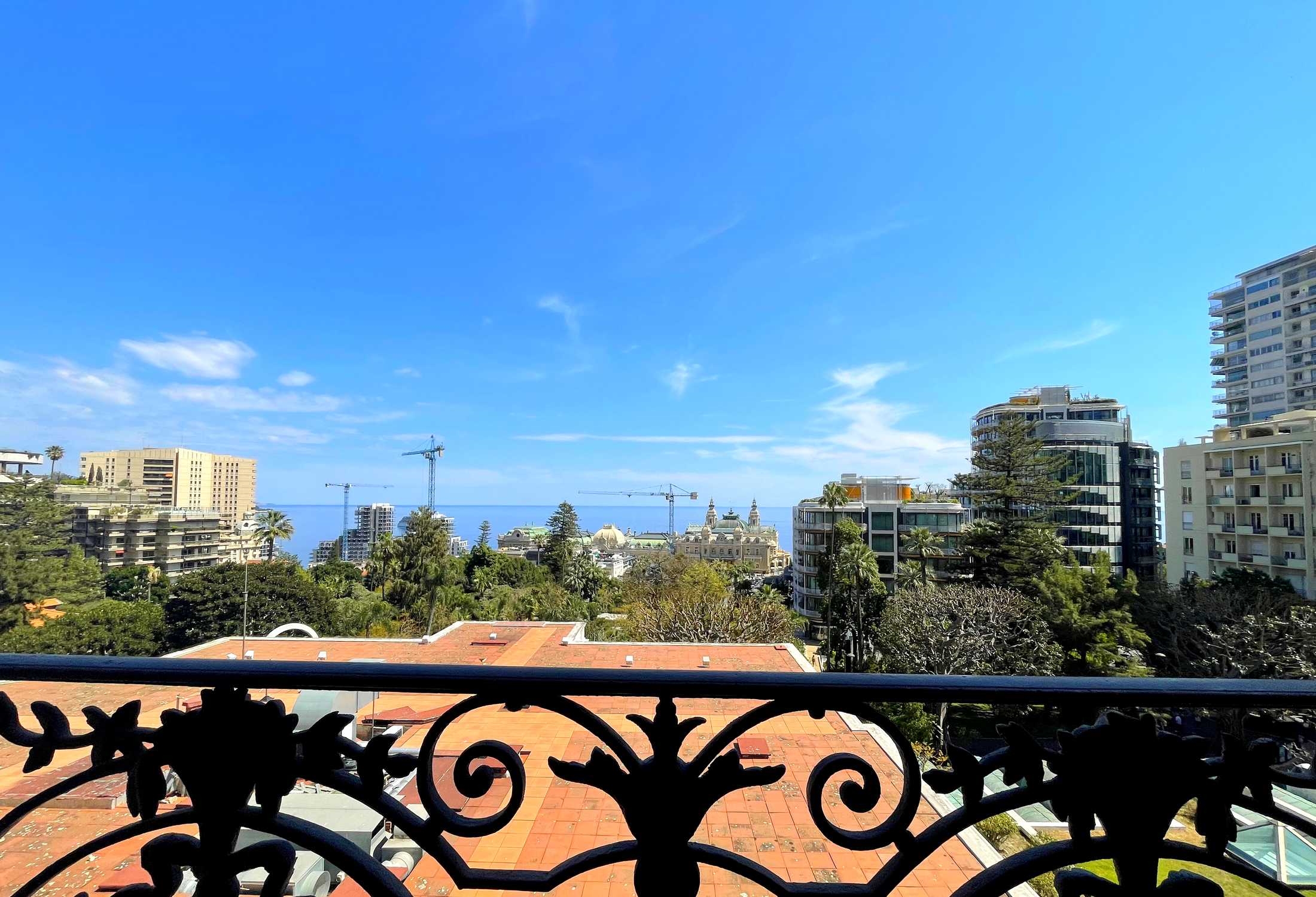  Sole Agent - Unique, Bourgeois apartment for sale, Bare-ownership - 物件實景