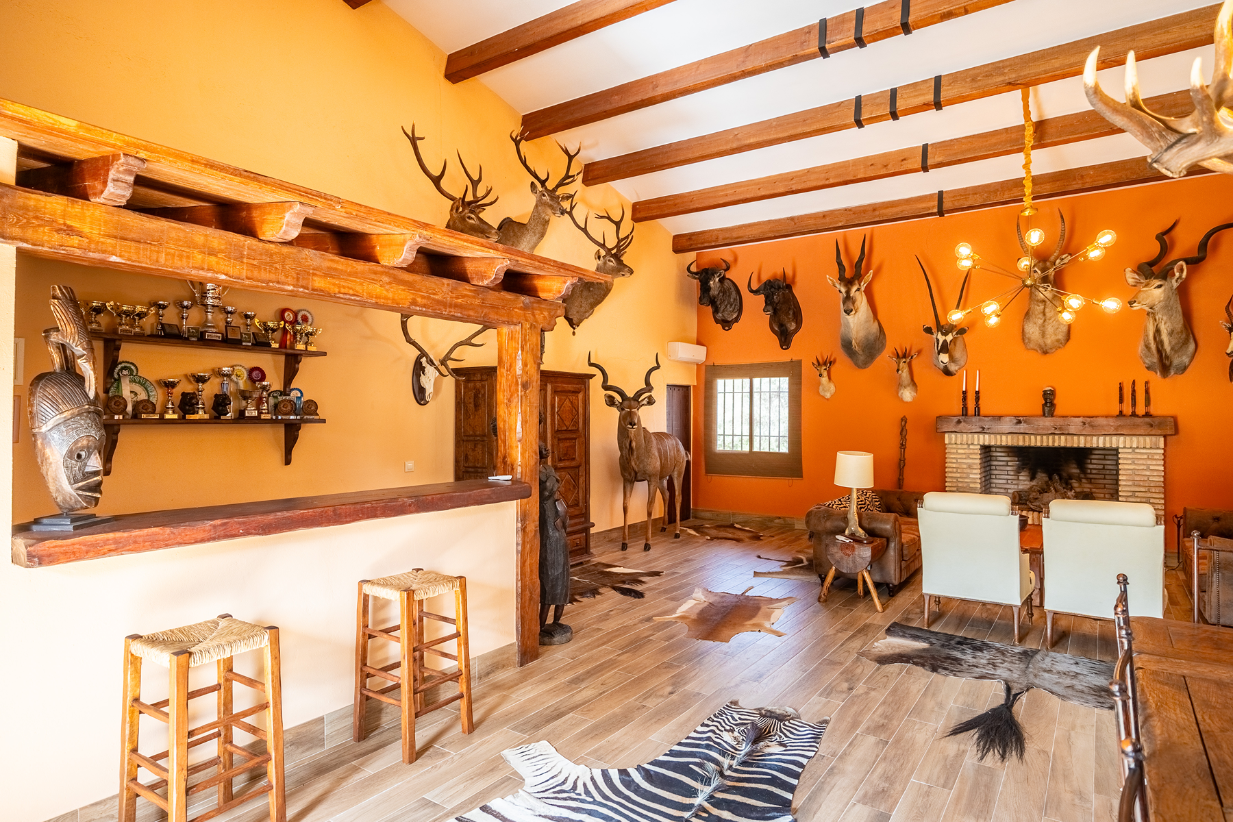  Recreational and hunting estate in the Sierra de Córdoba - 物件實景