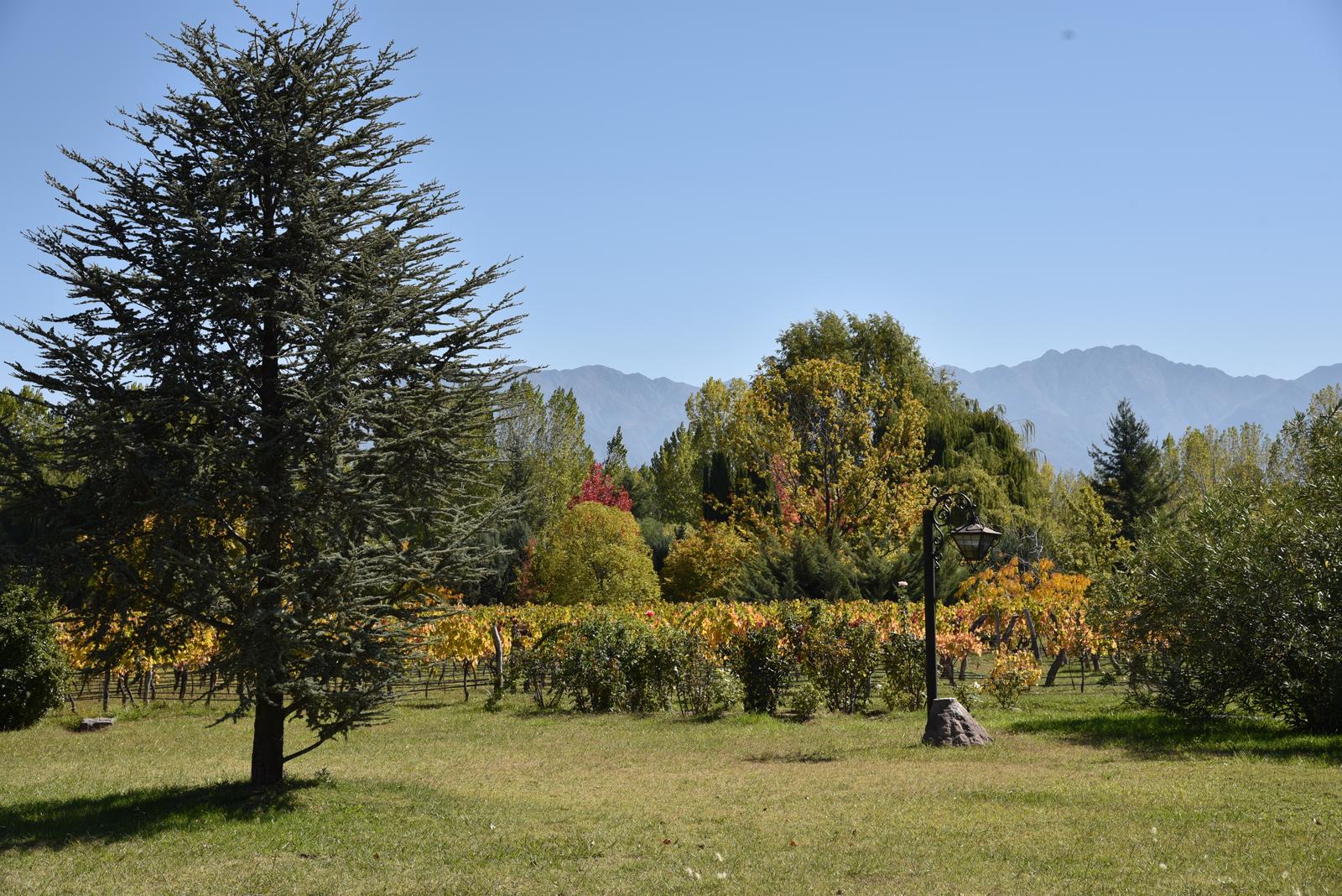 Lujan De Cuyo, AR-M, AR, 5 Bedrooms Bedrooms, ,8 BathroomsBathrooms,Residential,For Sale,1999071