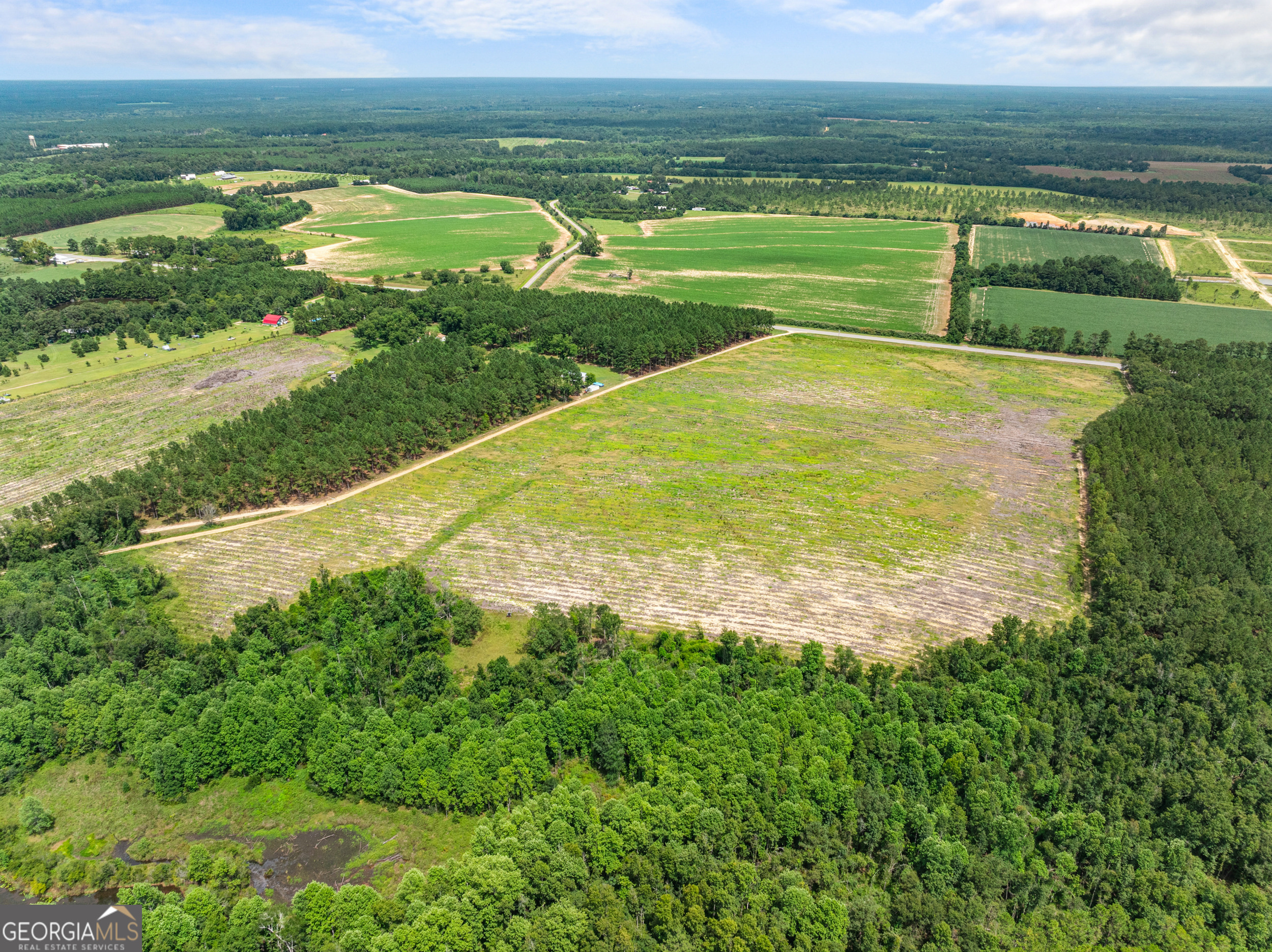 Statesboro, Georgia, 30458, United States, ,Land,For Sale,1911473