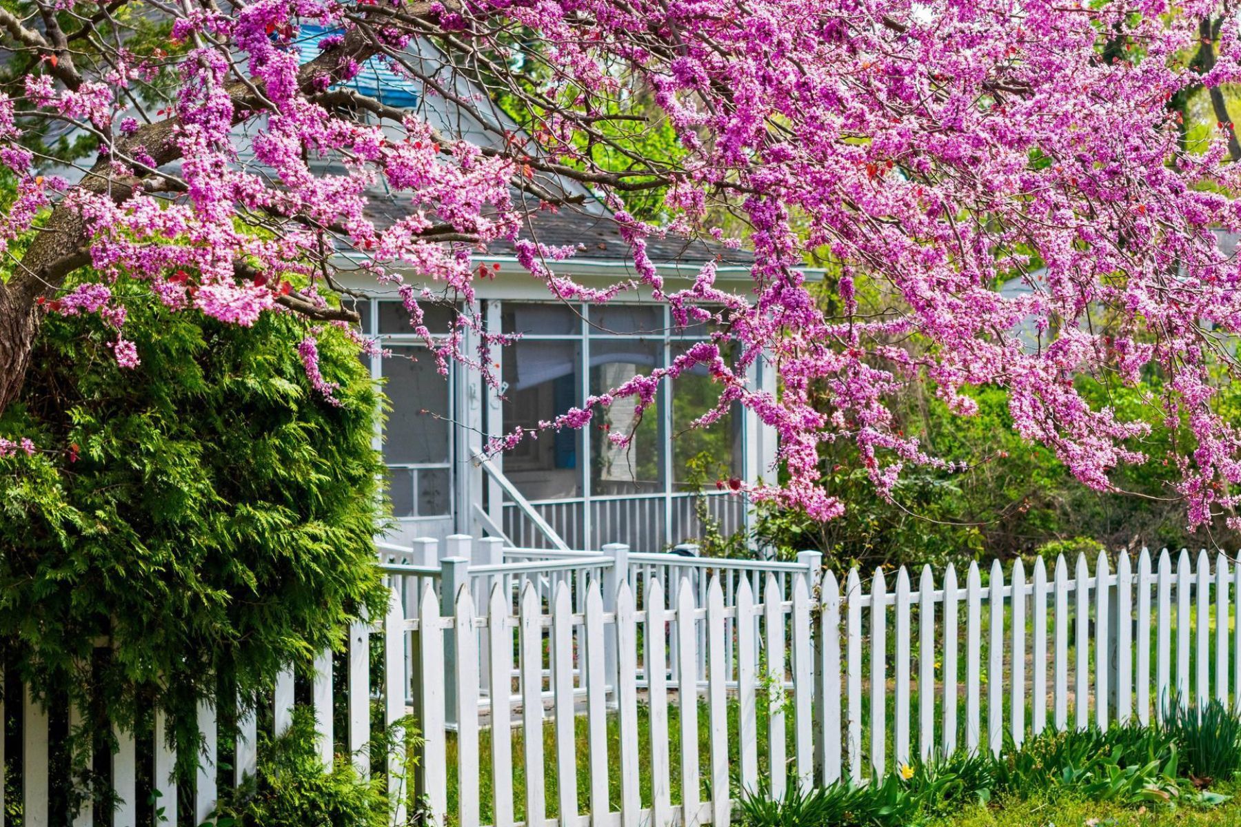  4 Shiley Street, Annapolis, MD, 21401 - 物件實景