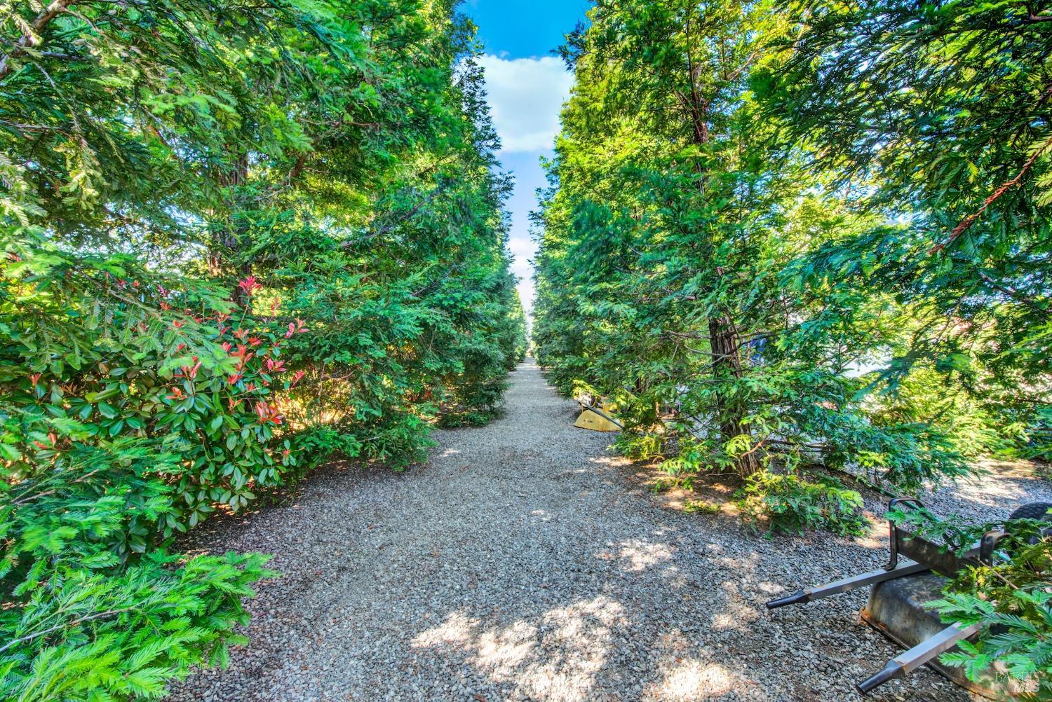 Vacaville, California, 95688, United States, 4 Bedrooms Bedrooms, ,4 BathroomsBathrooms,Residential,For Sale,1991158