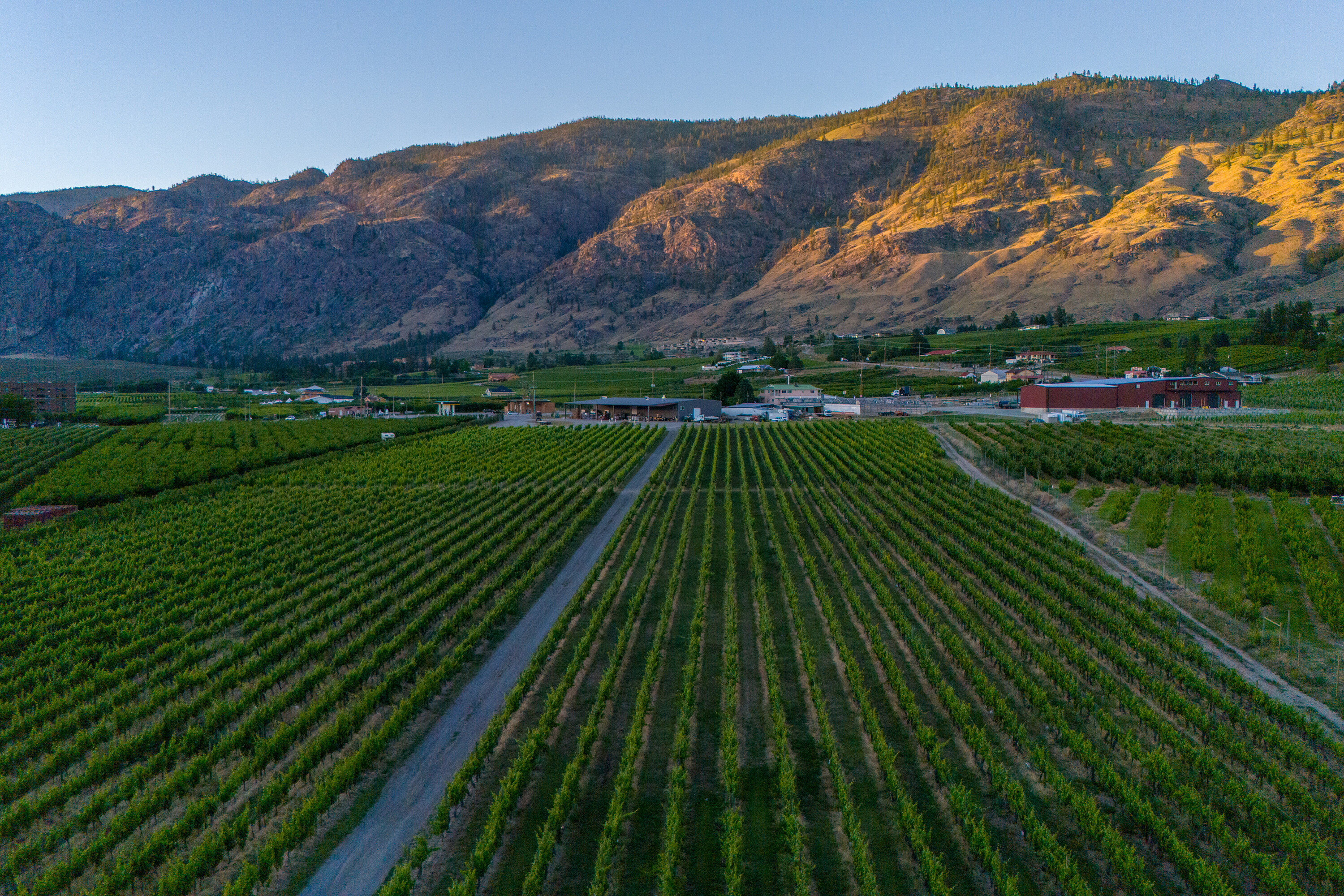  Lakefront Winery Receivership - 物件實景