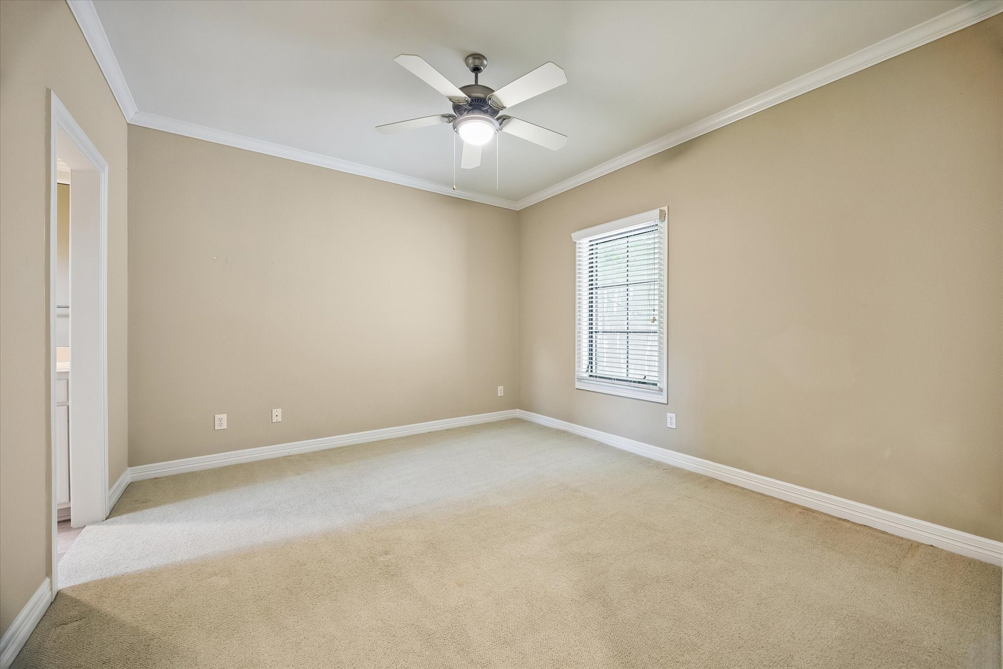  28 Hackberry Lane C - 物件實景