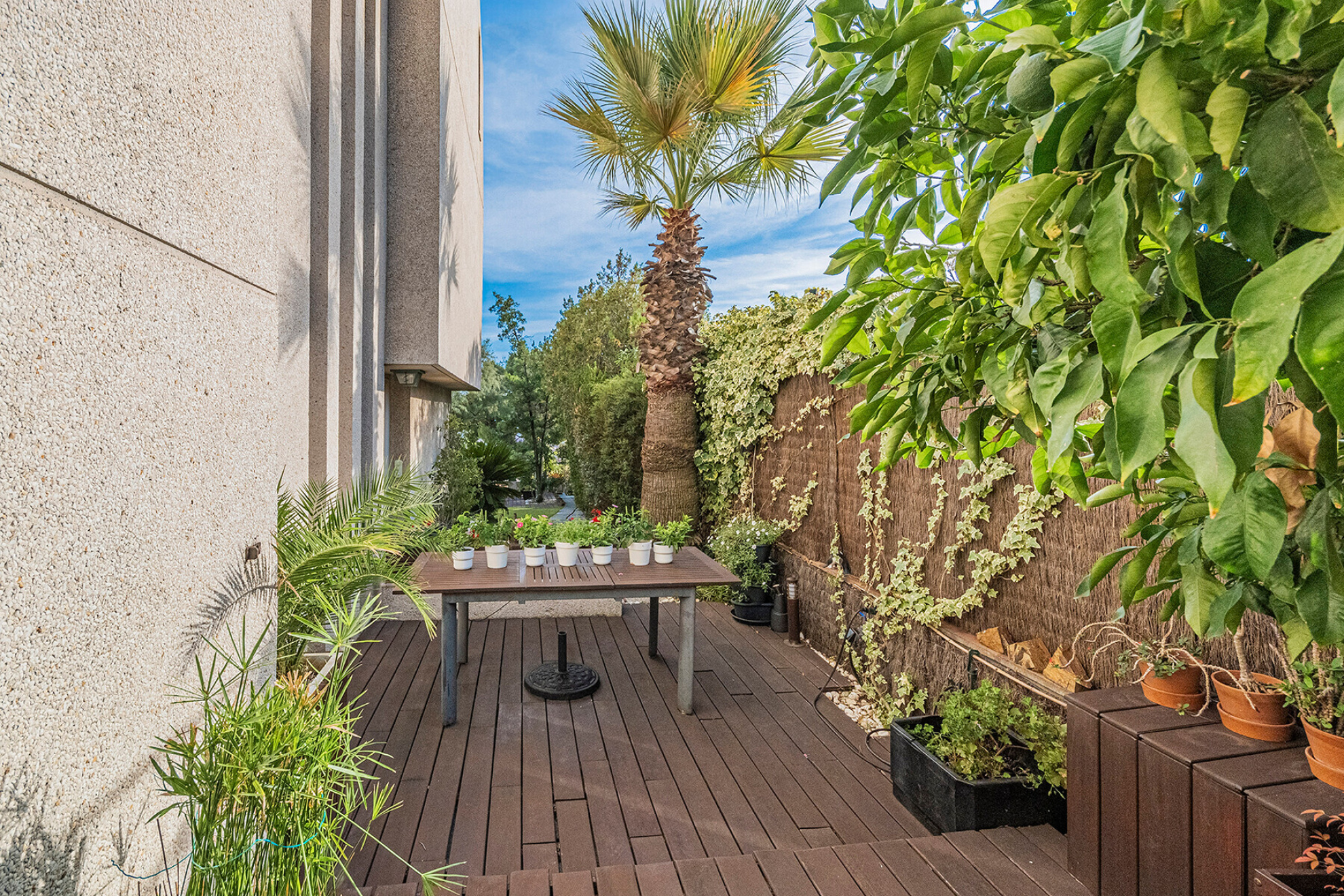  Exclusive single-family home with a large yard, views, and privacy in La Miranda - 物件實景