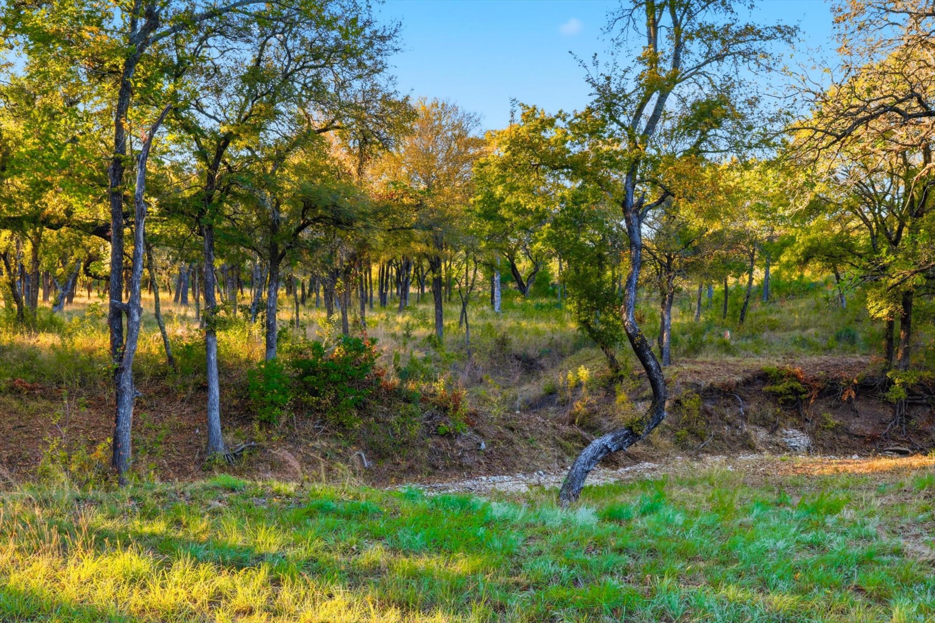  20 Acre Ranchette near luxury golf community in prestigious Aledo ISD - 物件實景