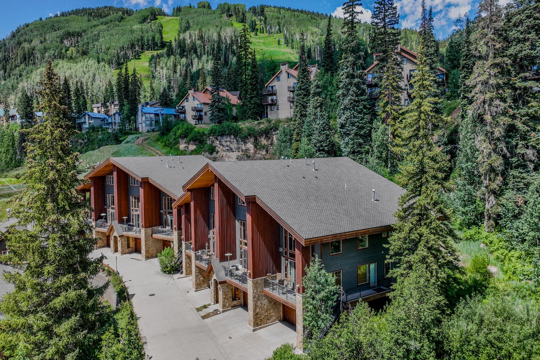  8 Summer Solstice Street, Durango, CO 81301 - 物件實景