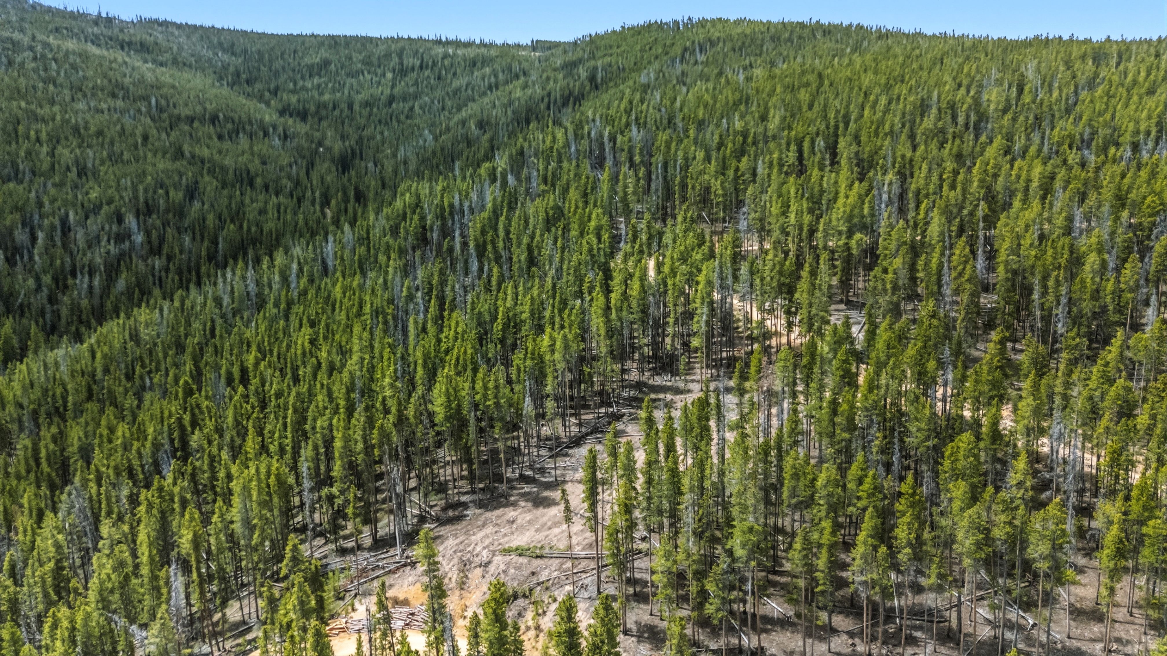  653 Summit Gulch Road, Breckenridge, CO, 80424 - 物件實景