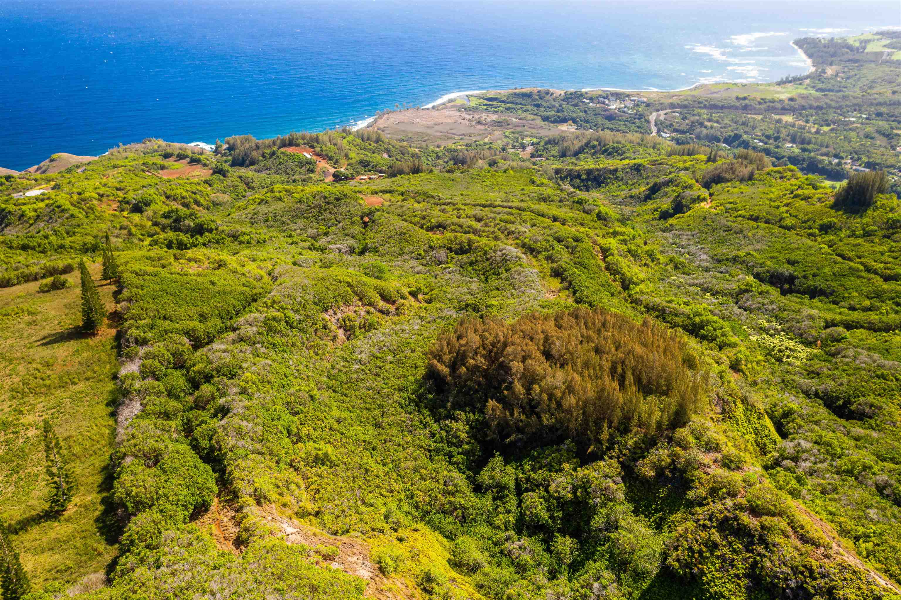 Wailuku, Hawaii, 96793, United States, ,Land,For Sale,1770651