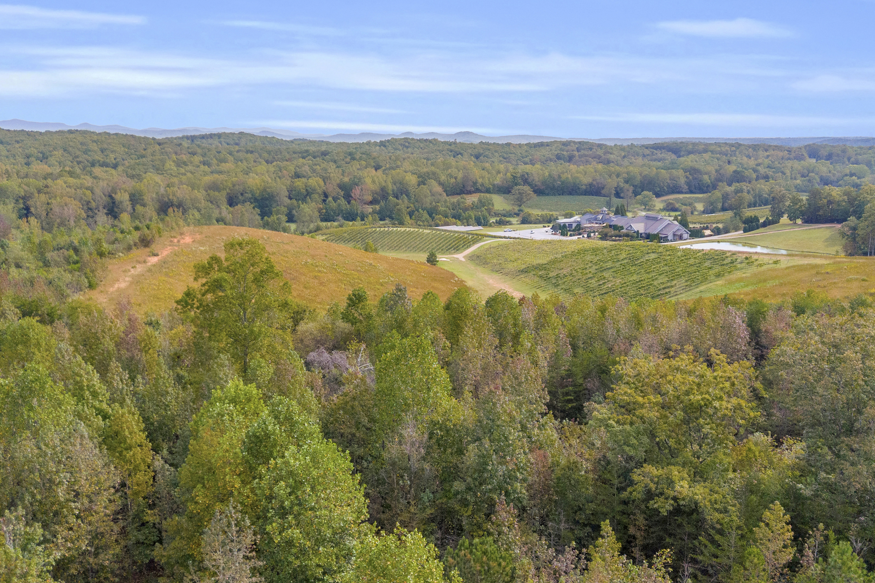 Cleveland, Georgia, 30528, United States, 3 Bedrooms Bedrooms, ,2 BathroomsBathrooms,Residential,For Sale,1979350