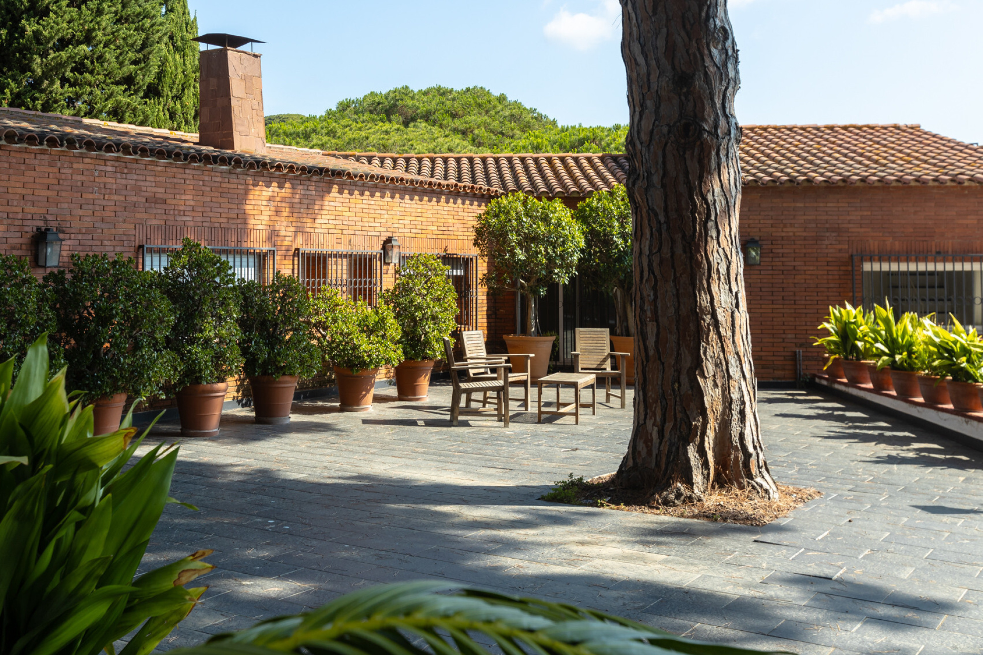  Large property in Llavaneres - Costa norte Barcelona - 物件實景