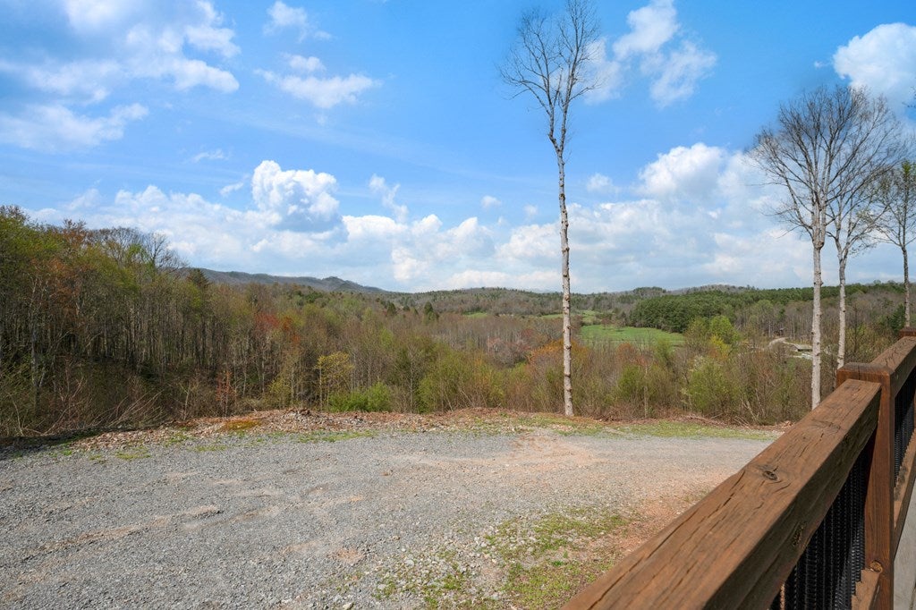 Blue Ridge, Georgia, 30513, United States, 4 Bedrooms Bedrooms, ,3 BathroomsBathrooms,Residential,For Sale,1762405