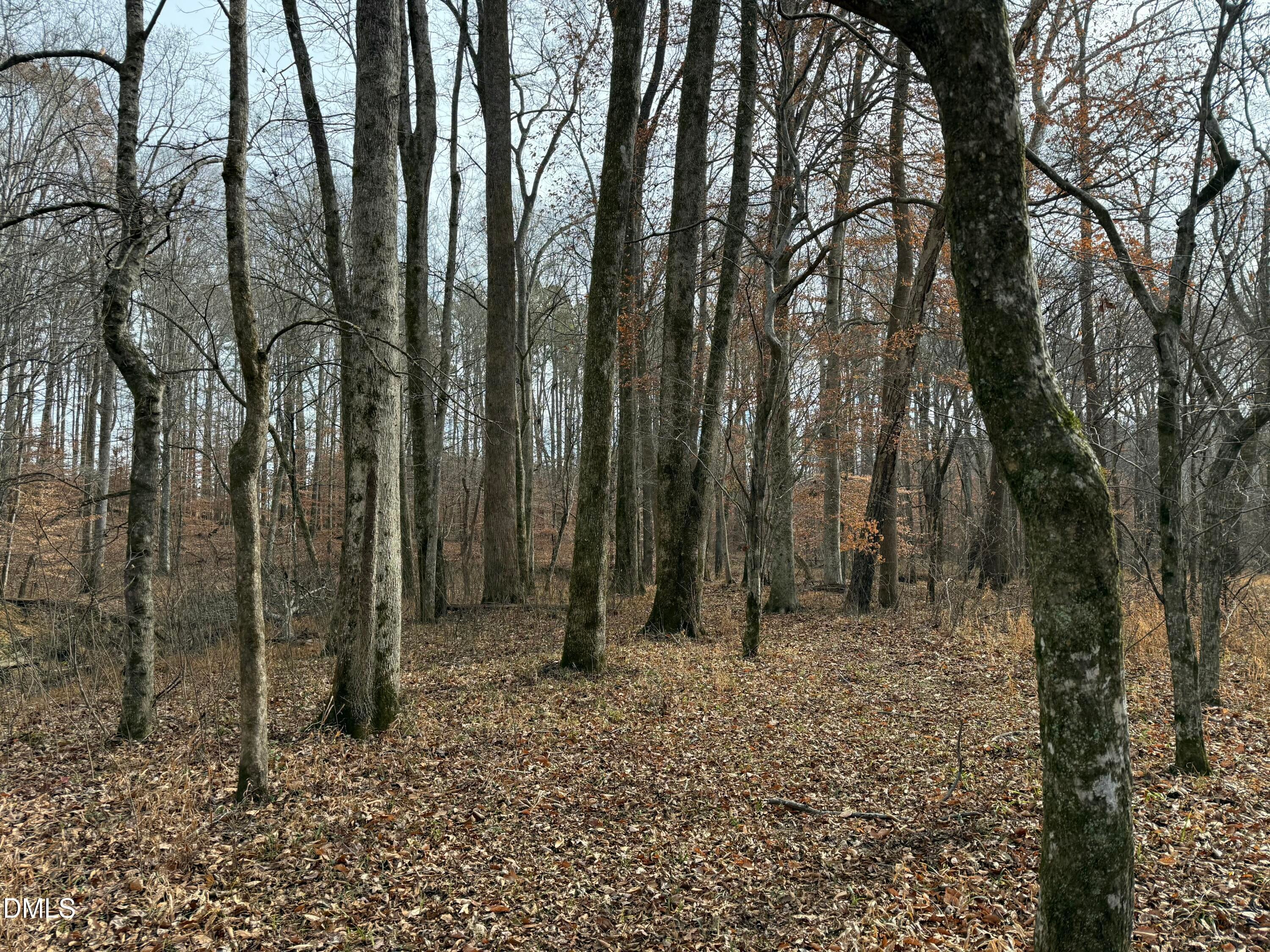 Oxford, North Carolina, 27565, United States, ,Land,For Sale,2000467