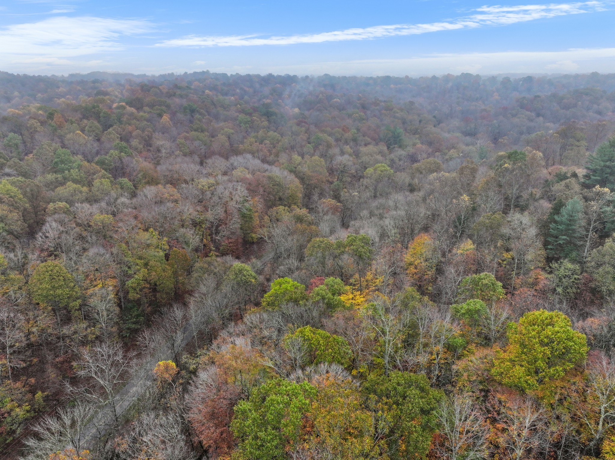 Cunningham, Tennessee, 37052, United States, ,Residential,For Sale,1920443