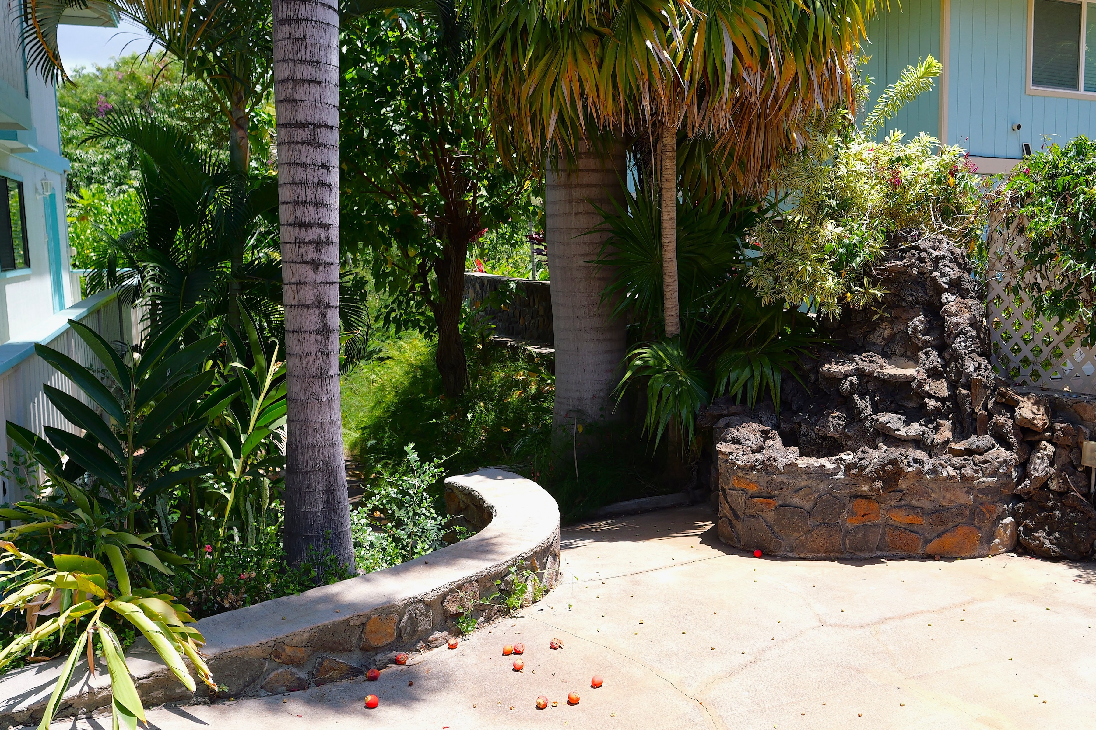  3 Bed/2Bath with 1/1 attached ohana - 物件實景