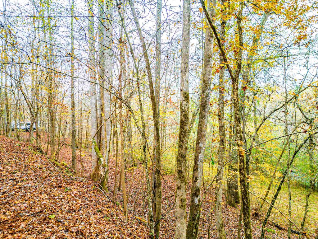 6.04 ac LINCHBURG ROAD, Eatonton, Georgia, 31024, United States, ,Land,For Sale,6.04 ac LINCHBURG ROAD,1683255