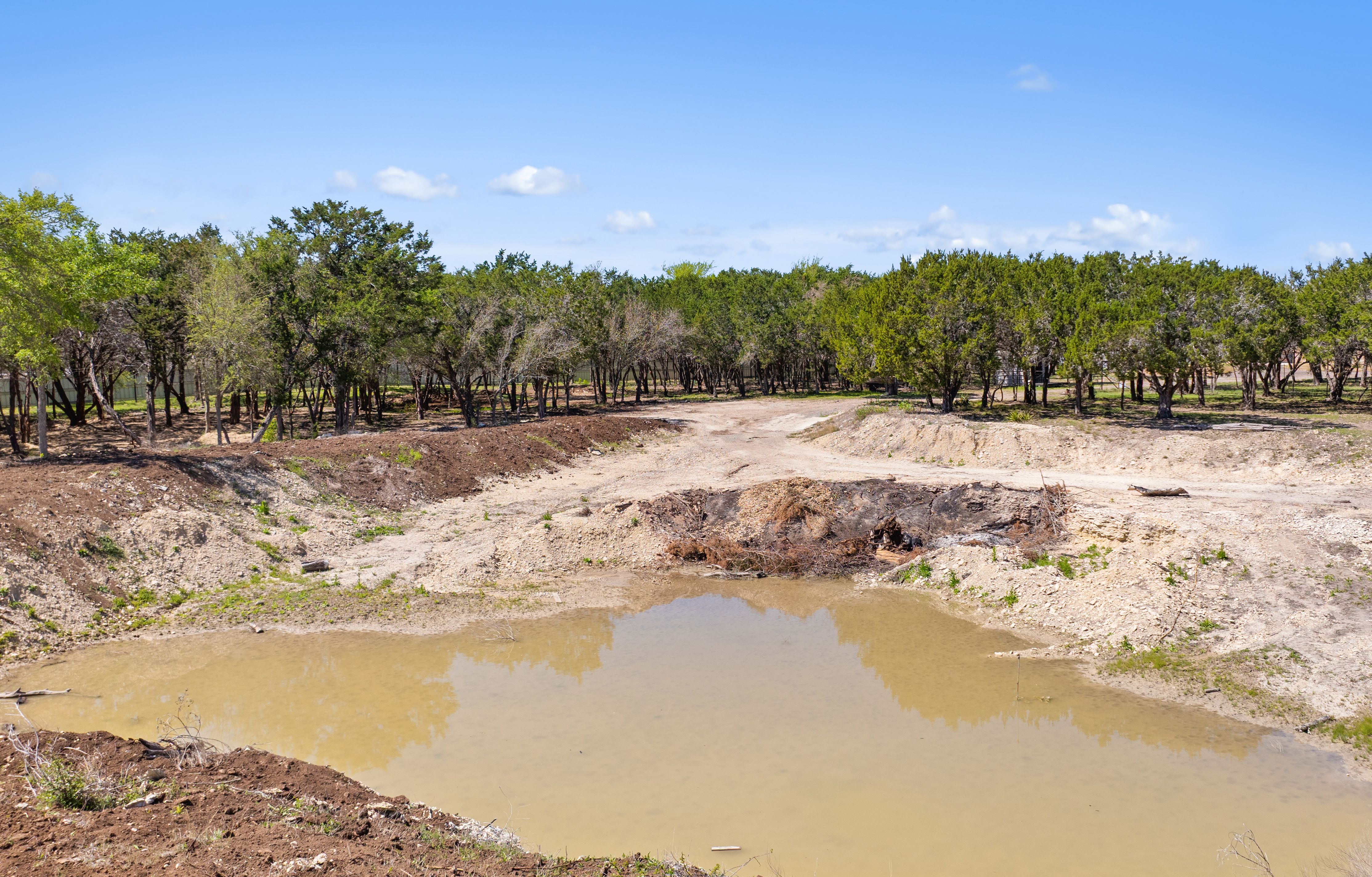  The Heart of Leander