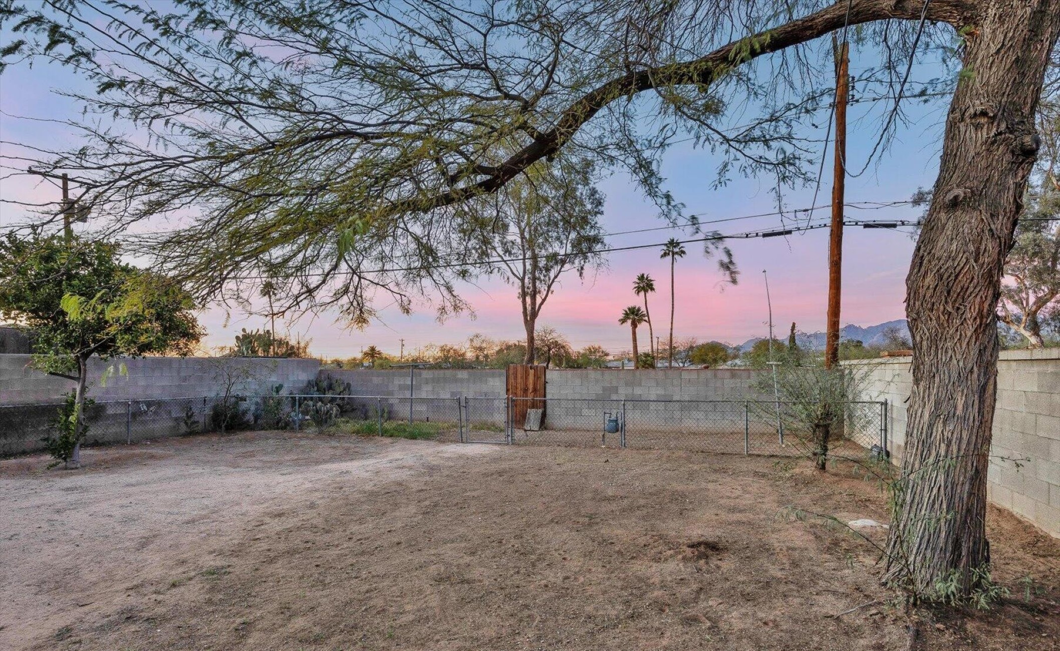  2313 E 23rd Street, Tucson, AZ 85713 - 物件實景