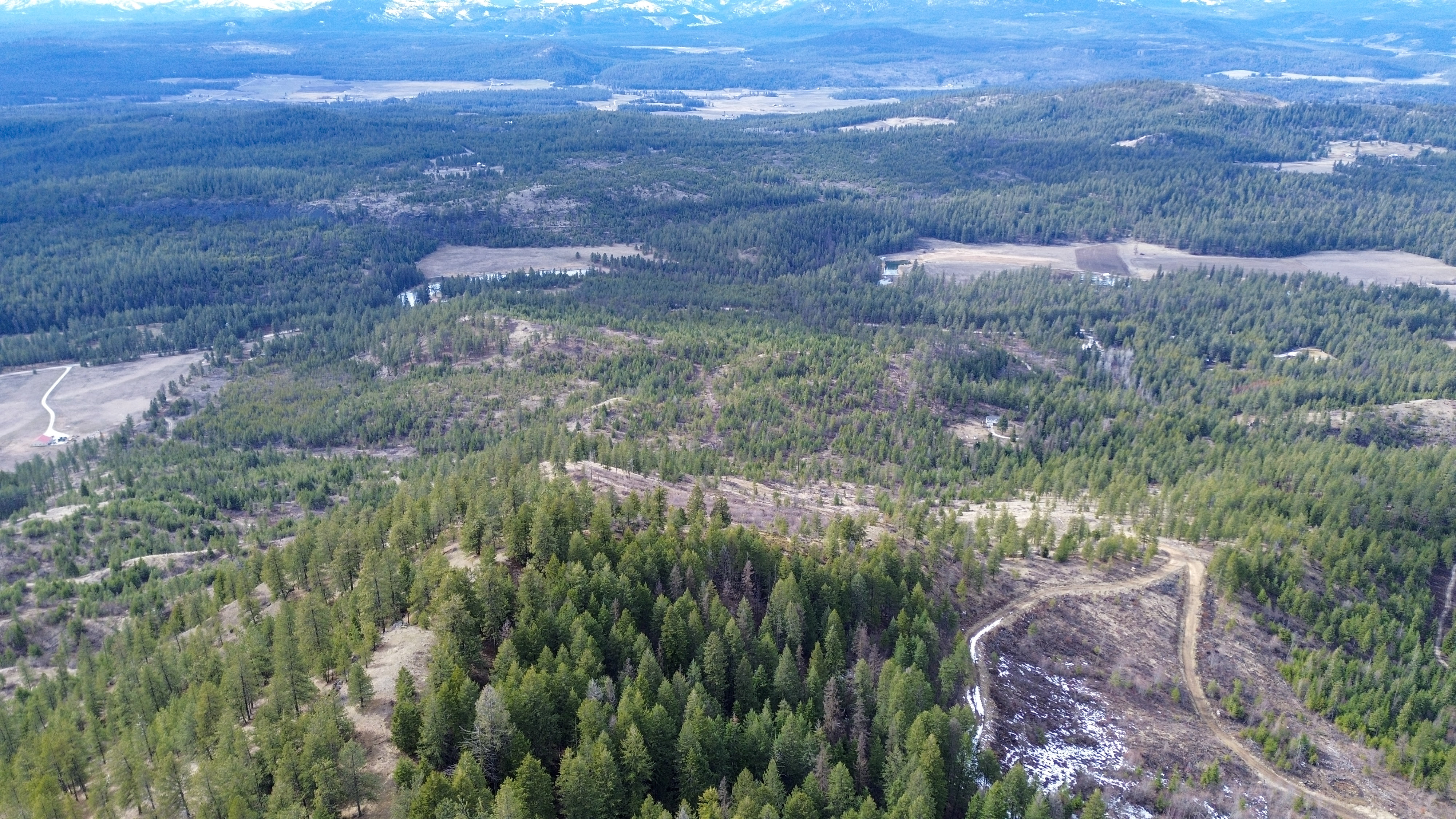 Valley, Washington, 99181, United States, ,Land,For Sale,1979391