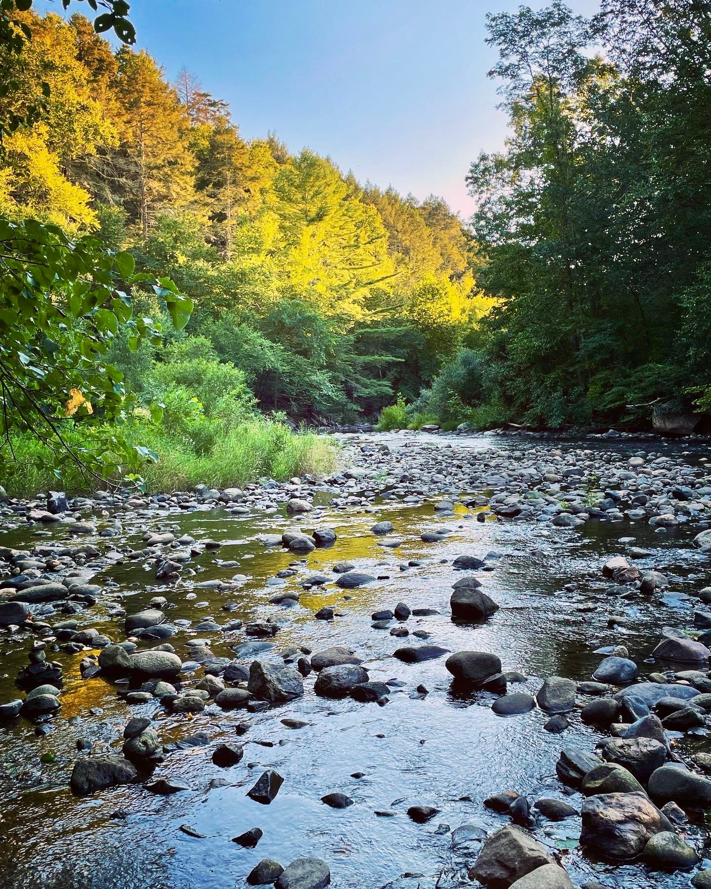  76 Blackville Road - 物件實景