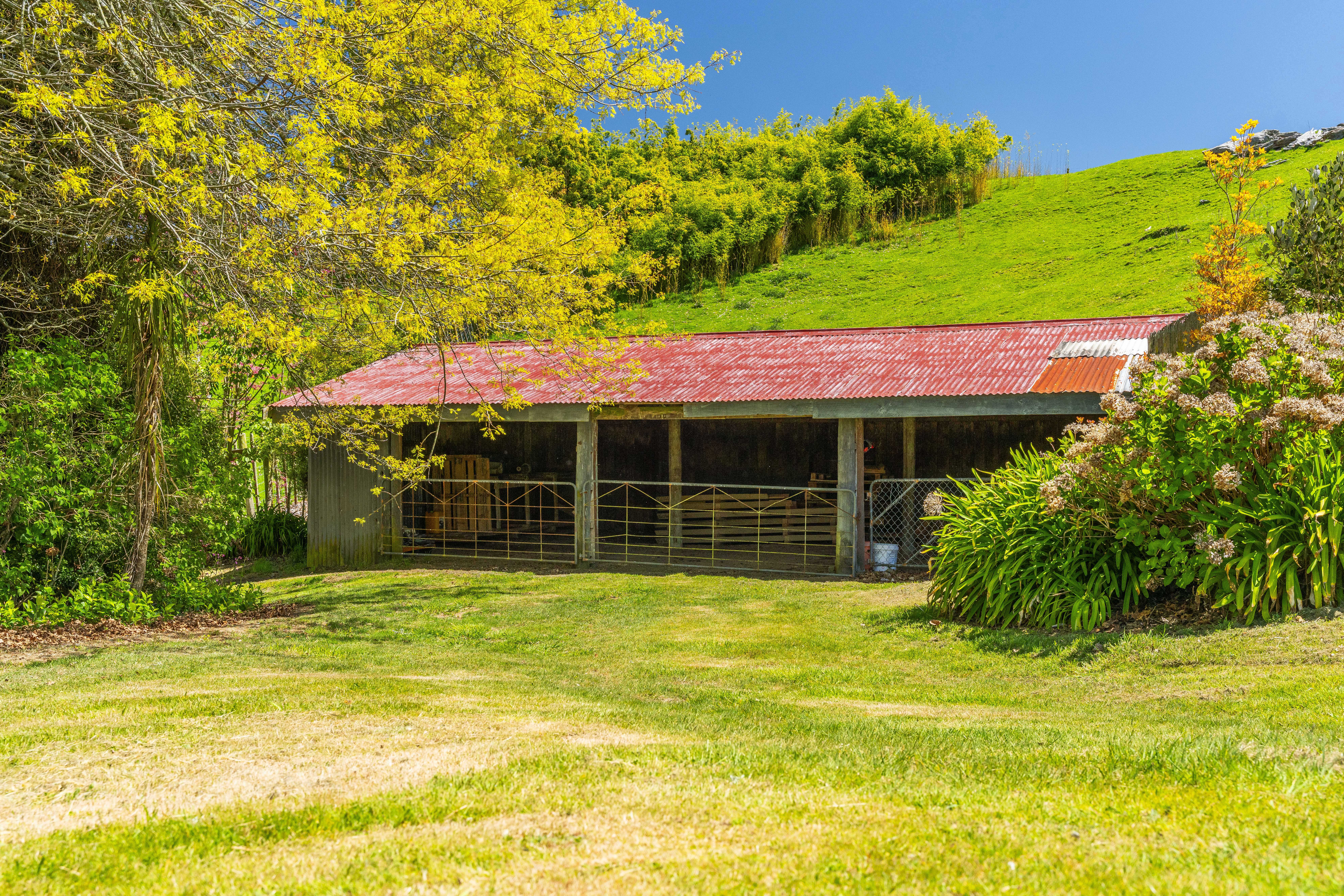  Land, Lifestyle and a Shed to Impress - 物件實景