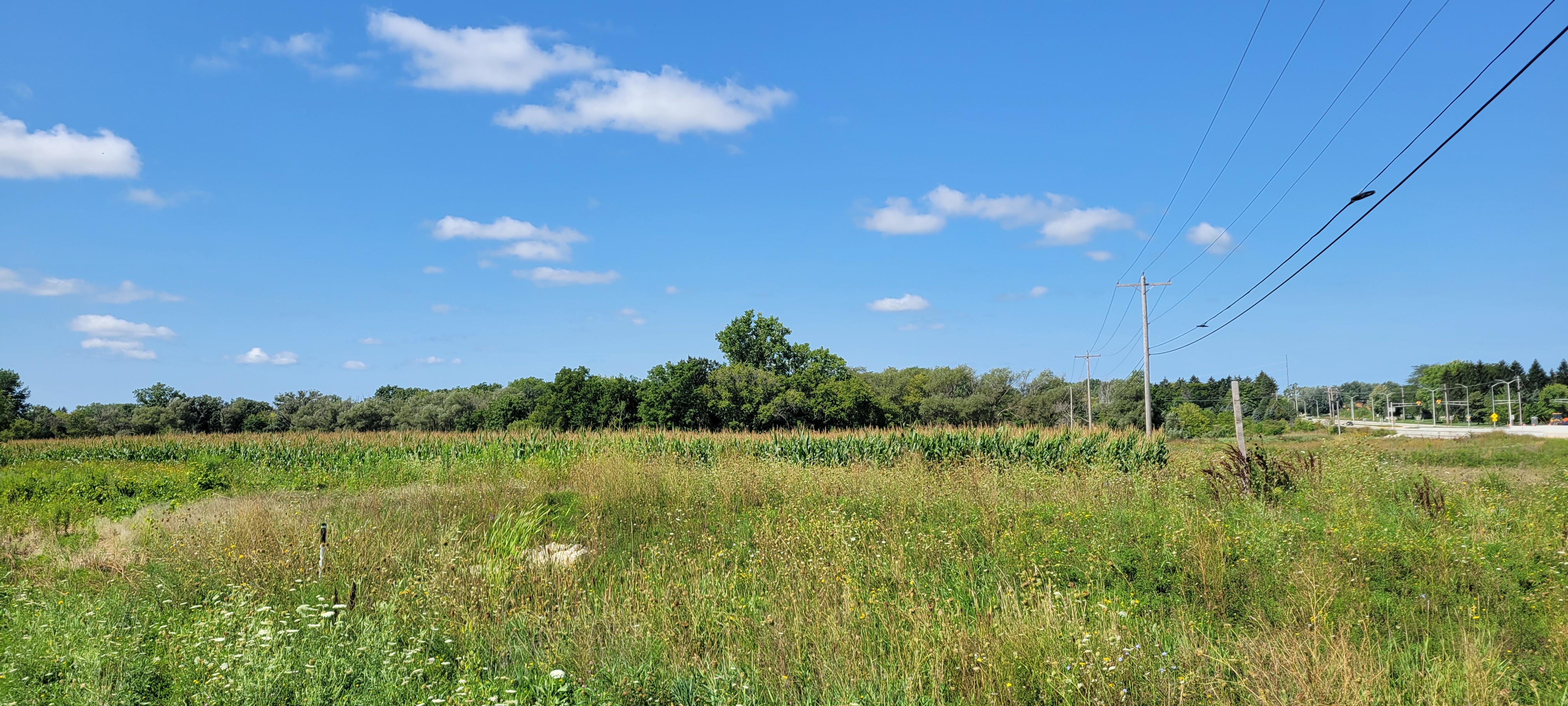 Lt1 Old Green Bay Rd, Kenosha, Wisconsin, 53144, United States, ,Land,For Sale,Lt1 Old Green Bay Rd,1432094