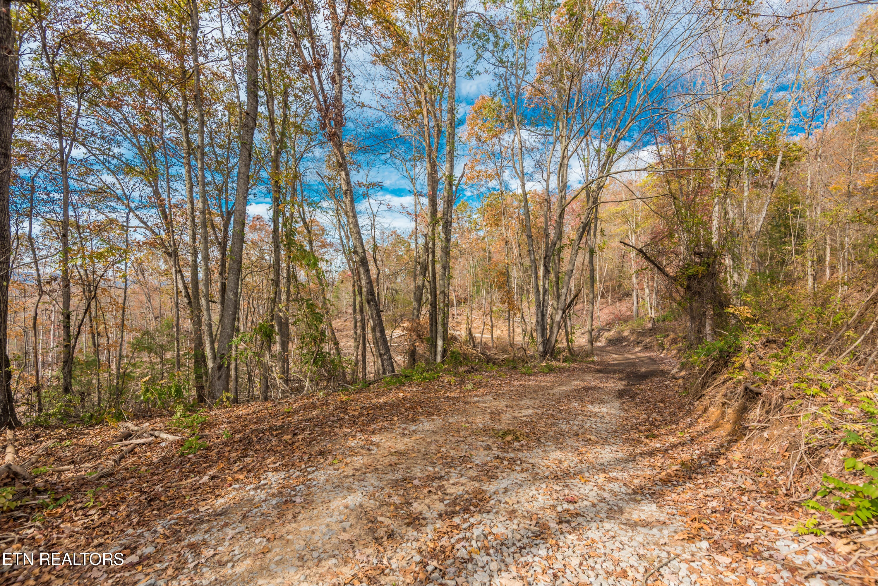 Rockwood, Tennessee, 37854, United States, ,Land,For Sale,1806468