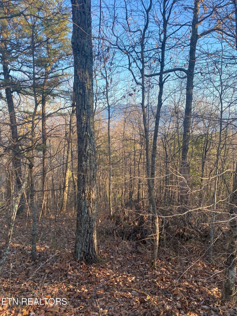 Gatlinburg, Tennessee, 37738, United States, 3 Bedrooms Bedrooms, ,3 BathroomsBathrooms,Residential,For Sale,1982516