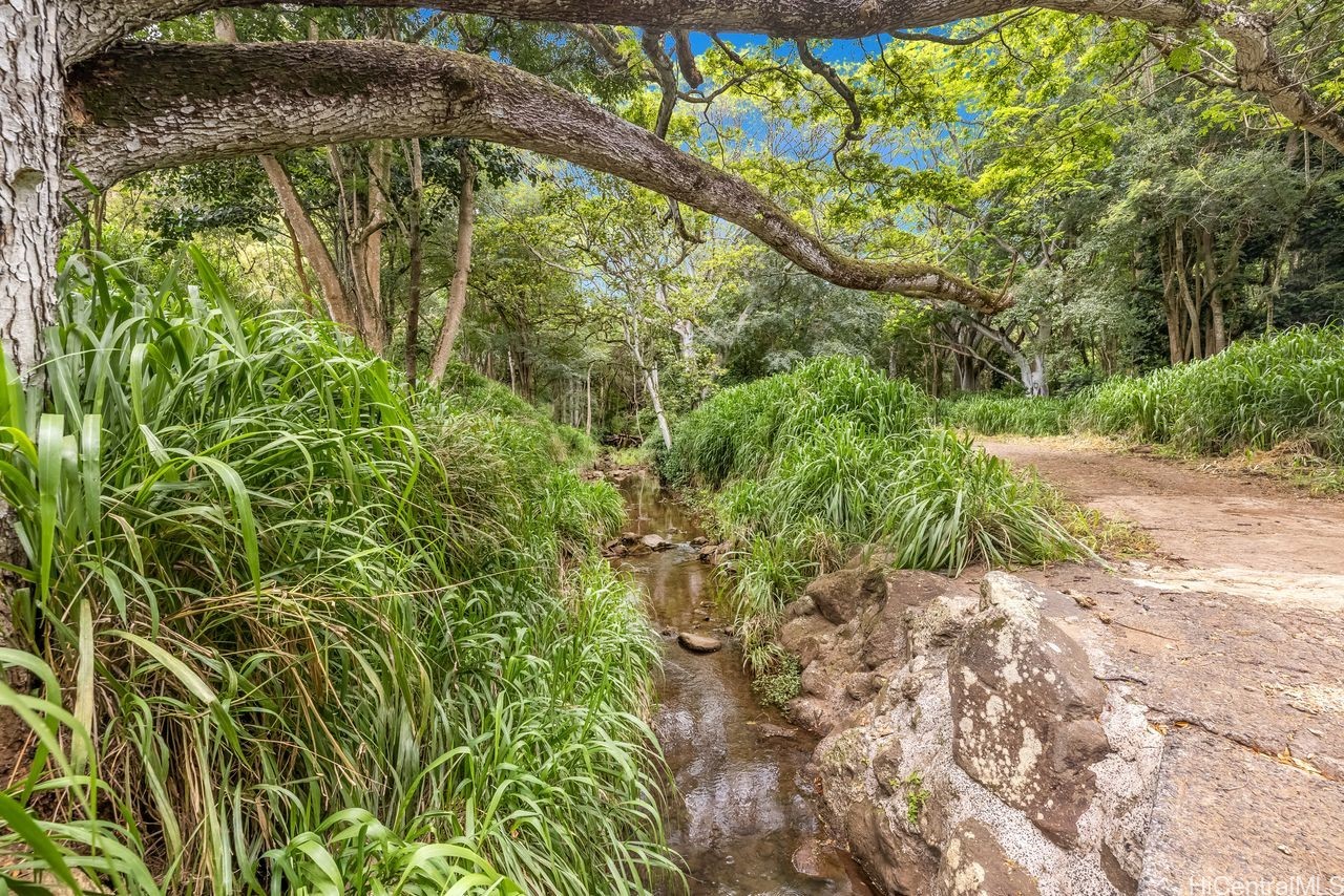 Aiea, Hawaii, 96701, United States, ,Land,For Sale,1987788