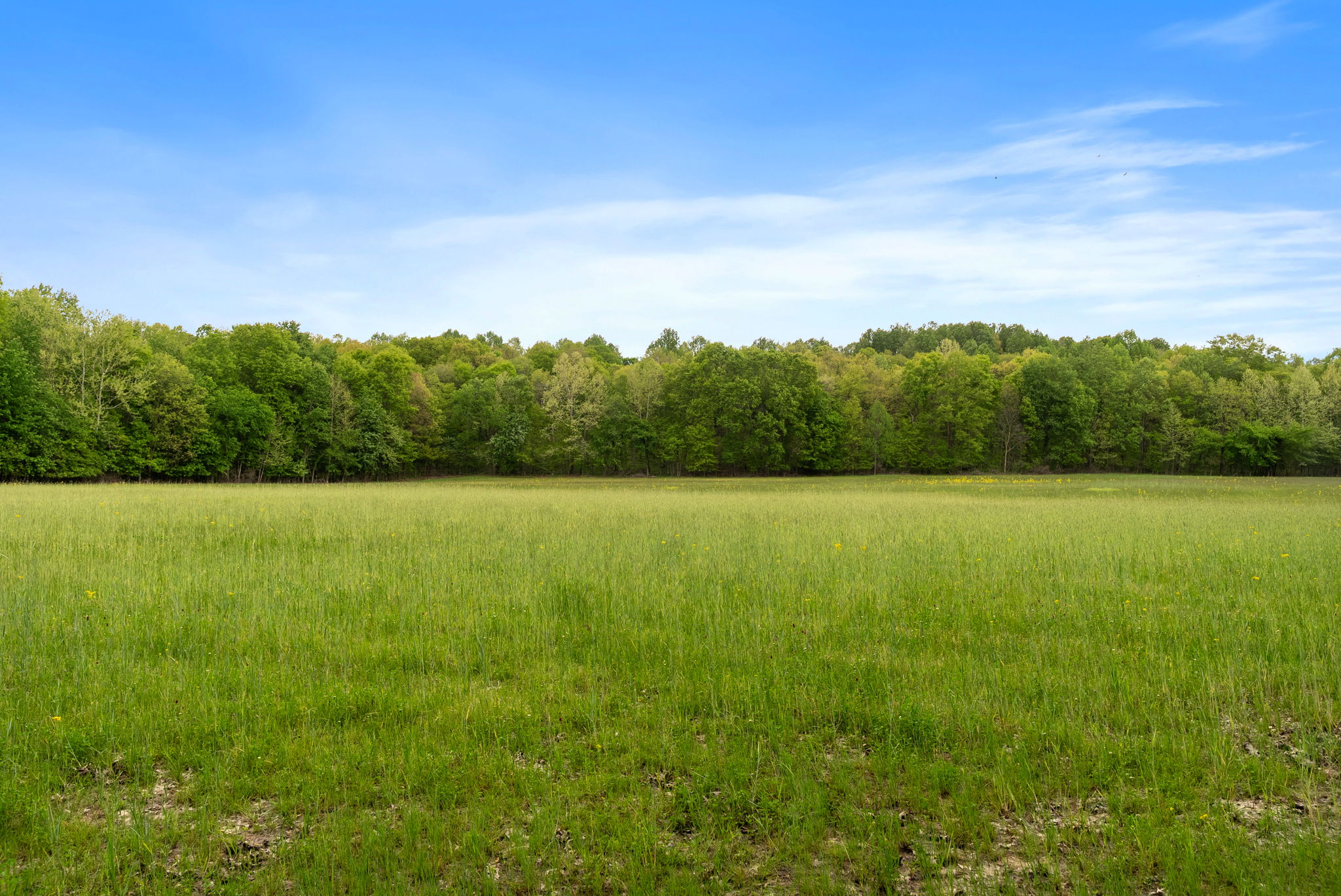 Rosedale, Indiana, 47874, United States, ,Land,For Sale,2049036