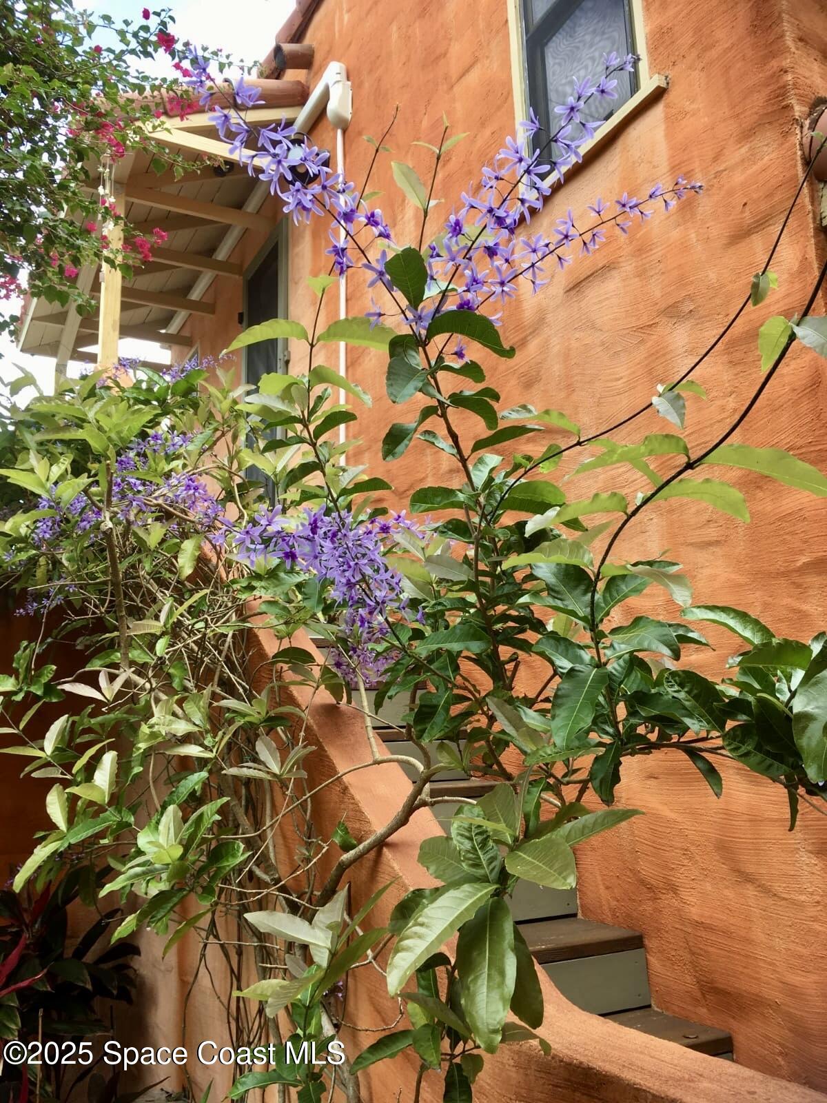 Rockledge, Florida, 32955, United States, 3 Bedrooms Bedrooms, ,2 BathroomsBathrooms,Residential,For Sale,1986460