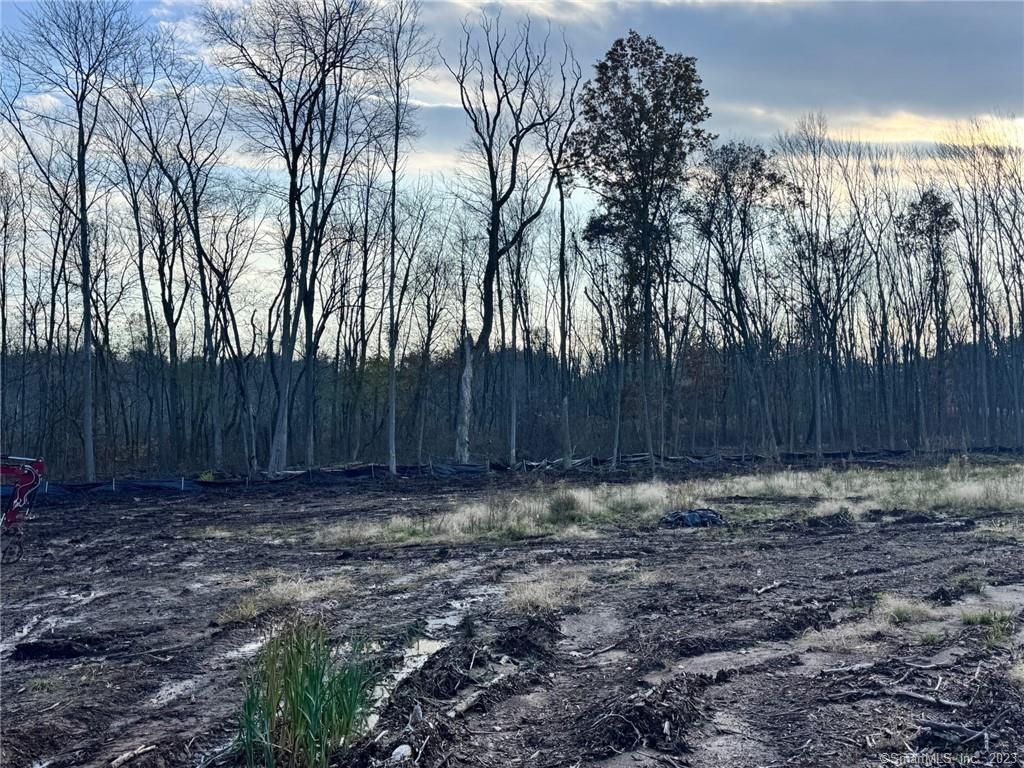 Newington, Connecticut, 06111, United States, ,Land,For Sale,1982448