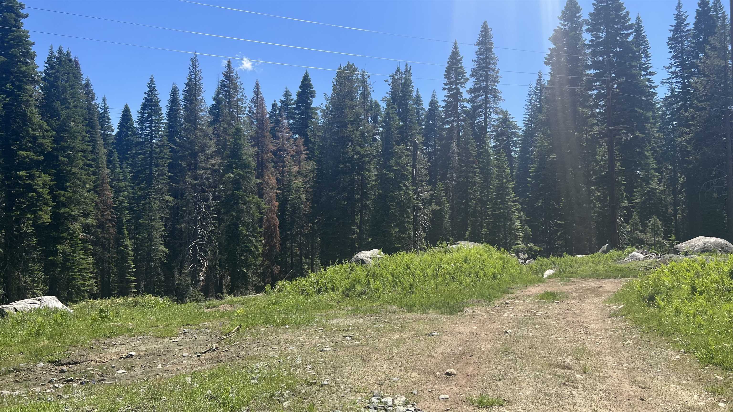 Soda Springs, California, 95728, United States, ,Land,For Sale,1998157