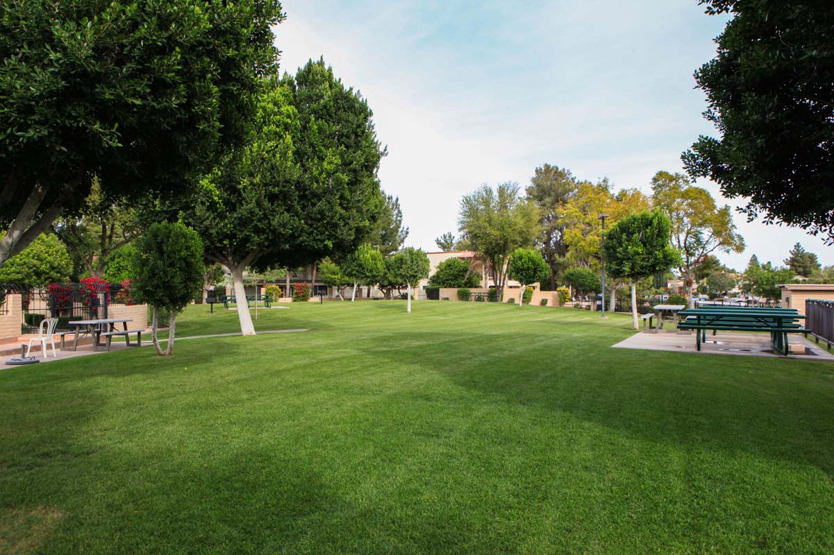 Tempe, Arizona, 85283, United States, 4 Bedrooms Bedrooms, ,3 BathroomsBathrooms,Residential,For Sale,1985738