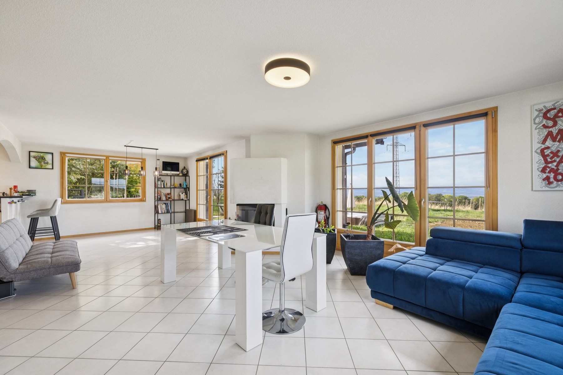  5.5-room single-family home with a large basement and a 1,500-square-meter lot - 物件實景