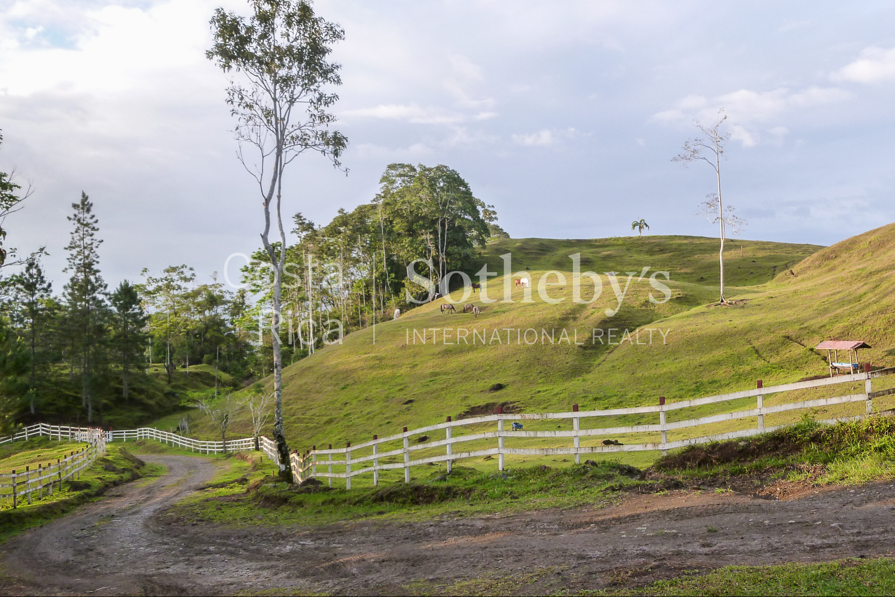  300ha+ Finca Turística Turrialba - 物件實景