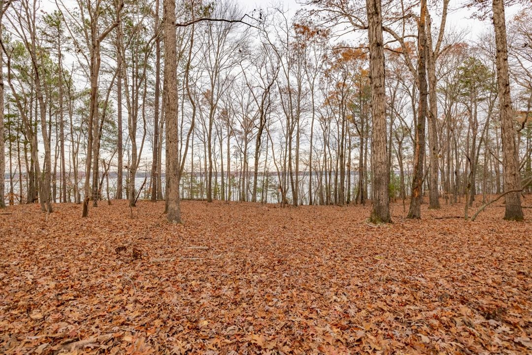 Lot 8 Serenity Point, Littleton, North Carolina, 28750, United States, ,Land,For Sale,Lot 8 Serenity Point,1659494