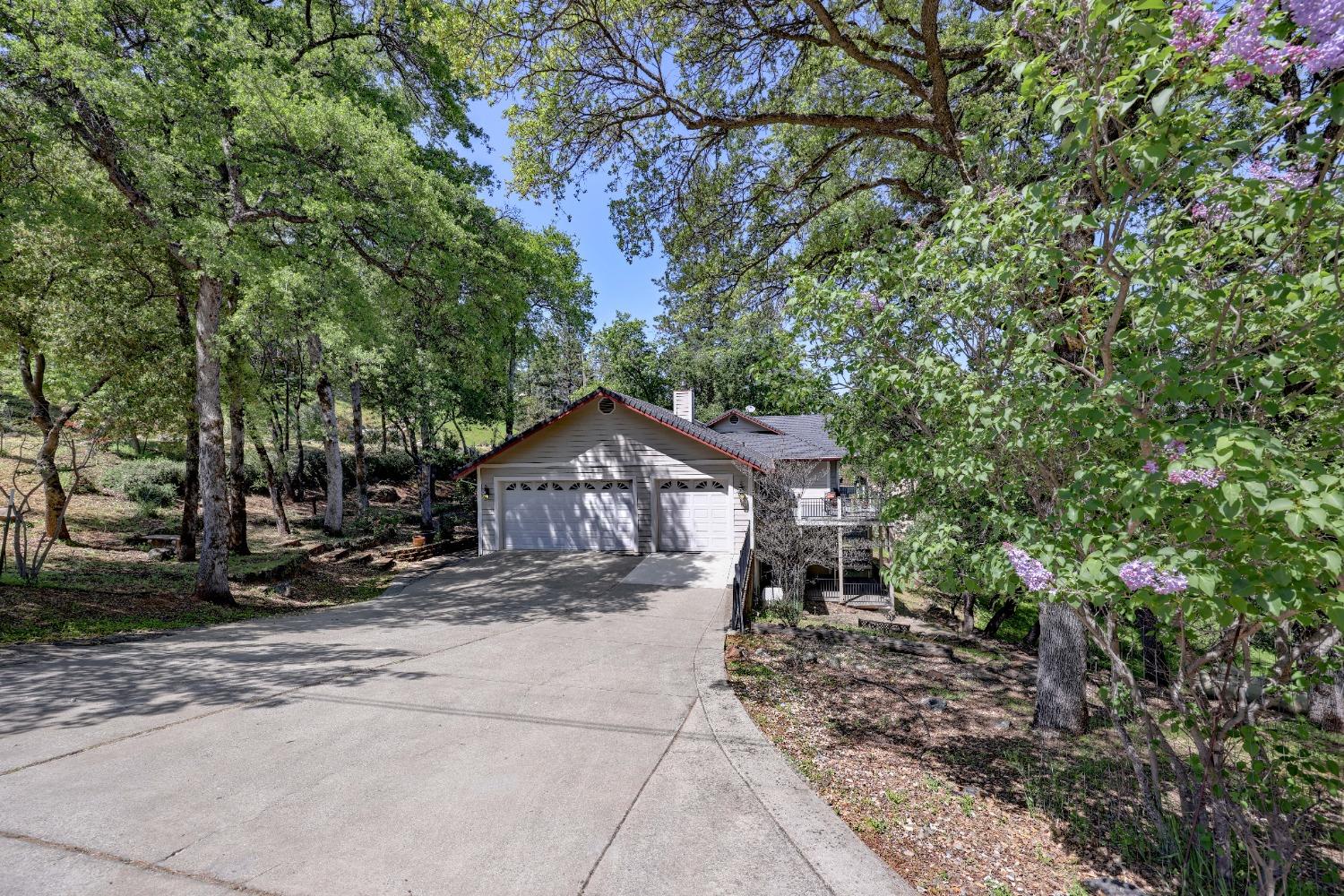 Penn Valley, California, 95946, United States, 3 Bedrooms Bedrooms, ,3 BathroomsBathrooms,Residential,For Sale,1784644